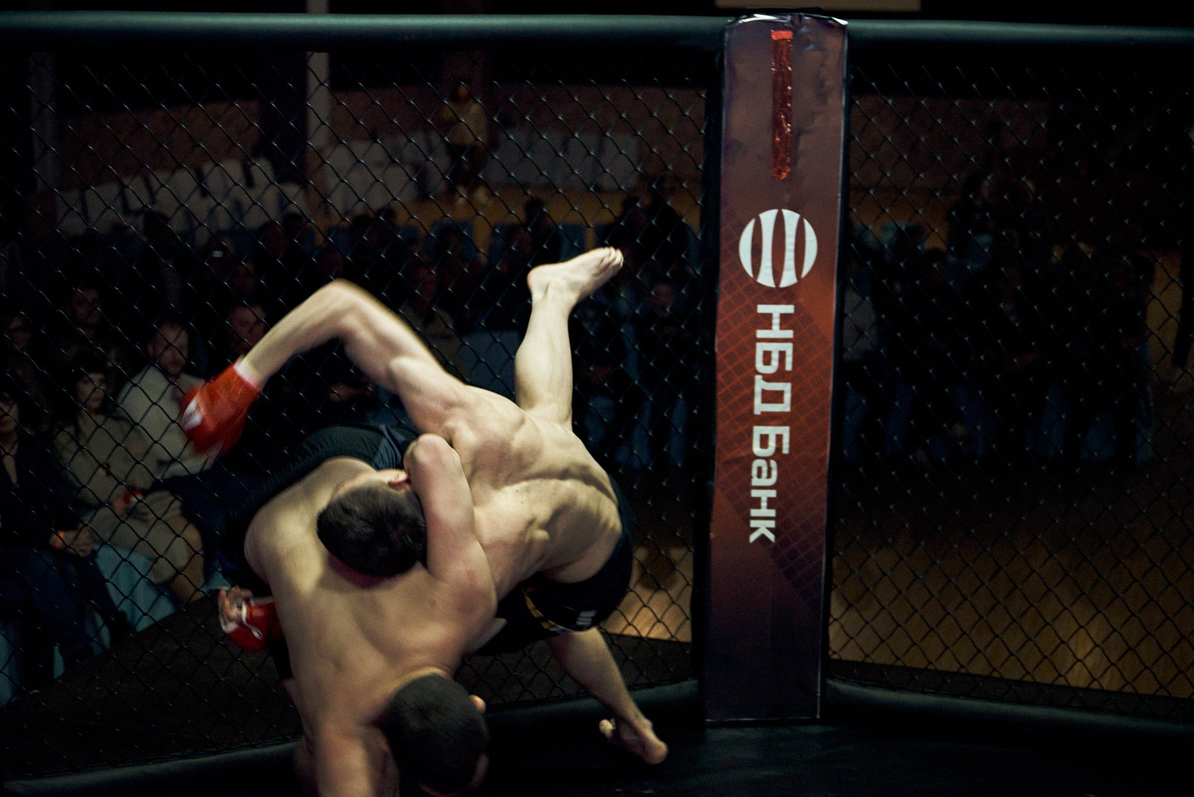 Бои. Маляревич Дмитрий свадебный фотограф