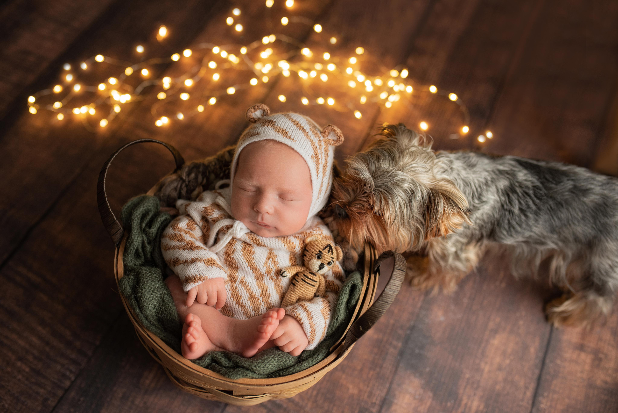 Демид. Фотограф новорожденных в Екатеринбурге Лена Ильина
