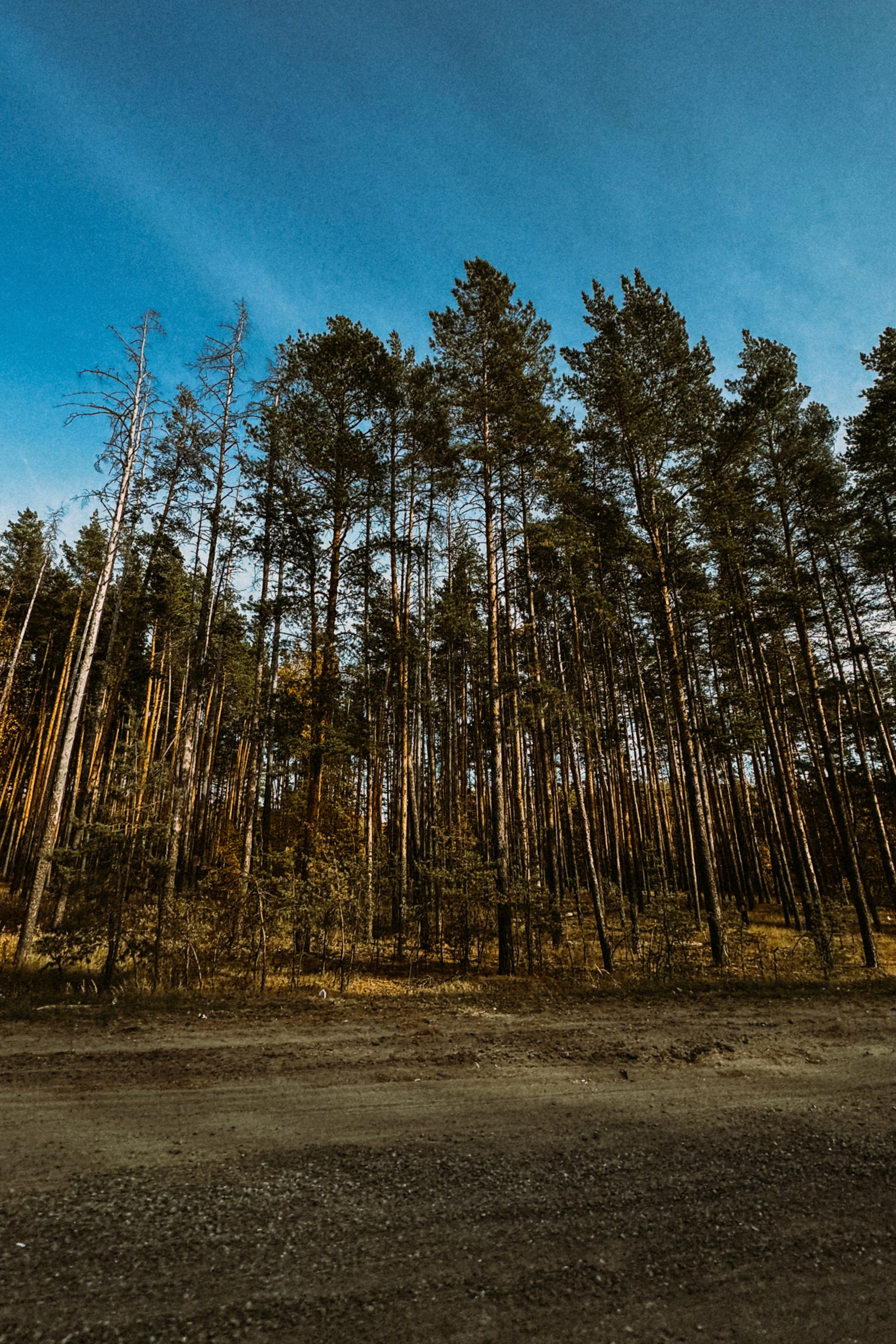 Природа. Команда фотографов Кристины Ивановой