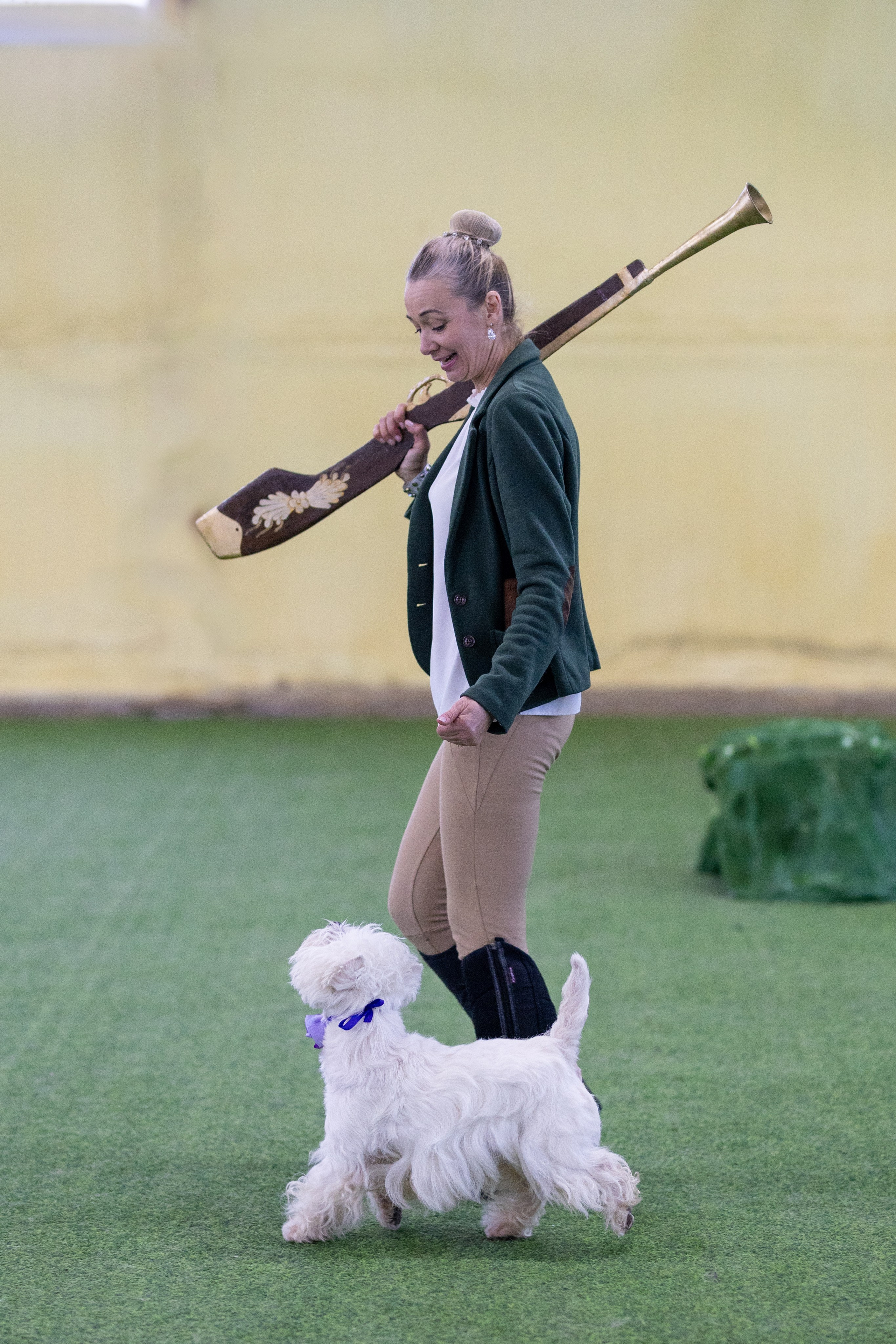 Соревнования танцы. Фотограф-анималист в Москве Кириллова Татьяна