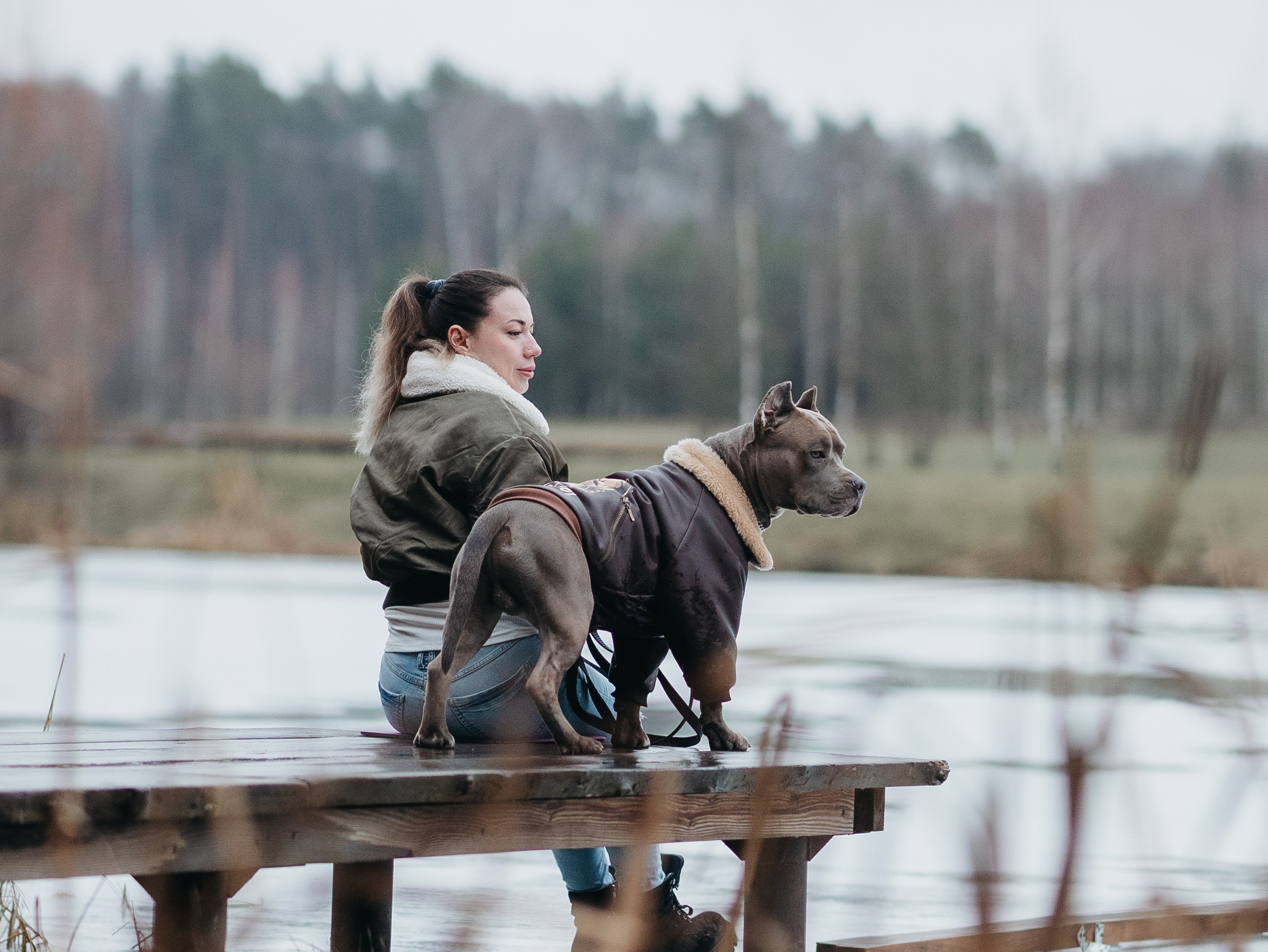 Зевс и Мария. Фотограф-анималист в Москве Кириллова Татьяна