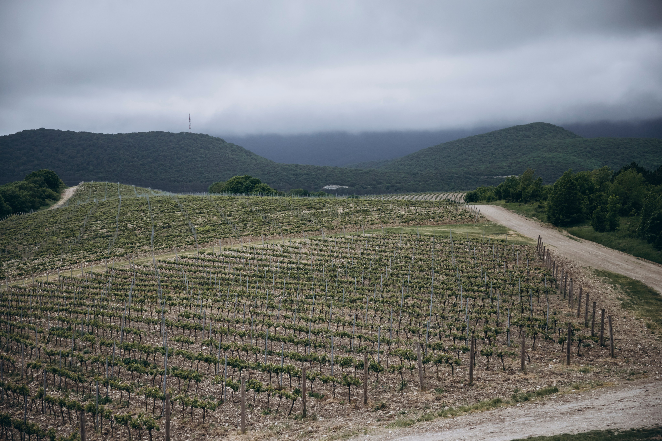 Репортаж. Свадебный и семейный фотограф Краснова Юлия
