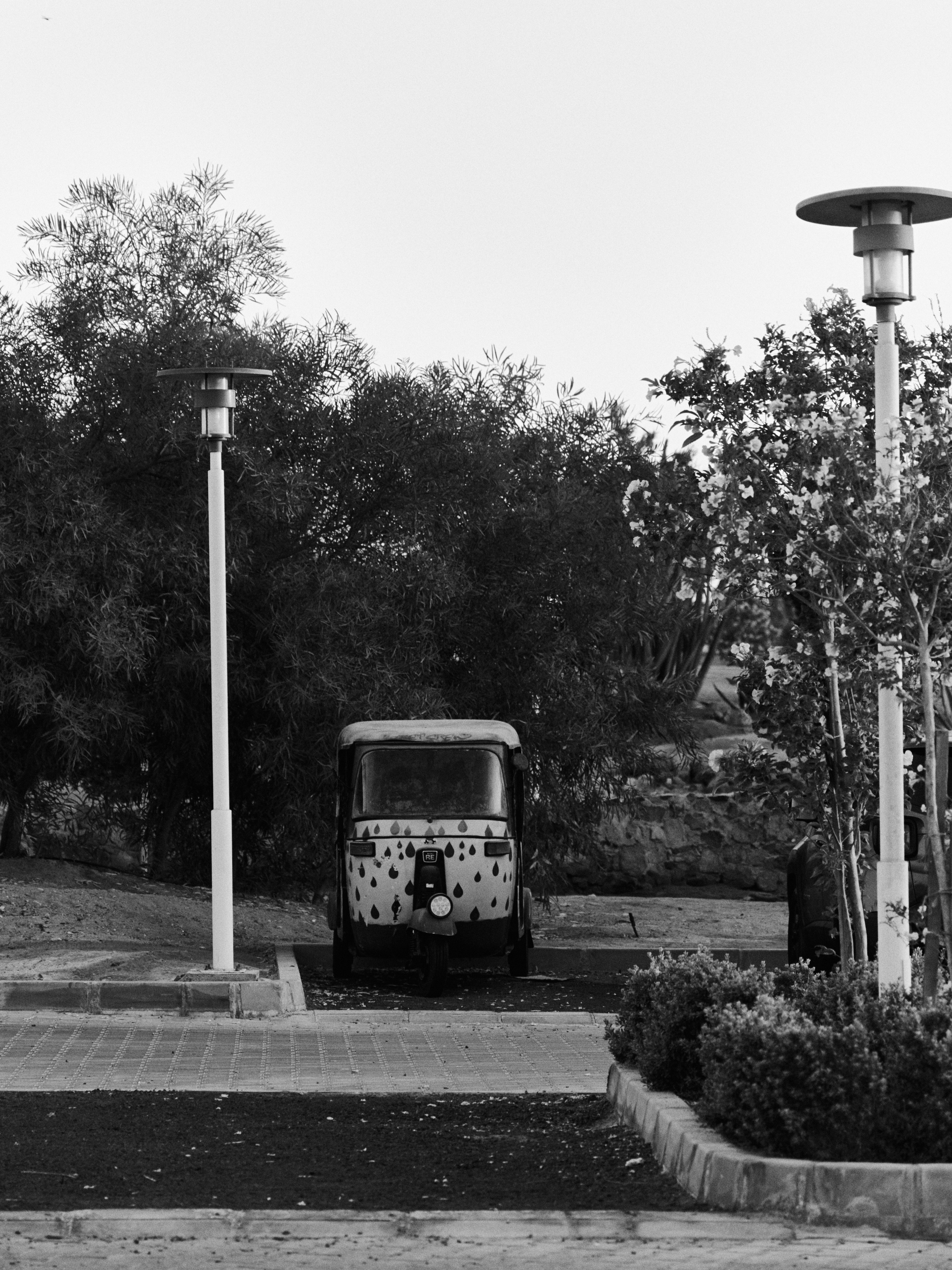 Другое 3. Jorgis — фотограф в Хургаде / обучение фотографии