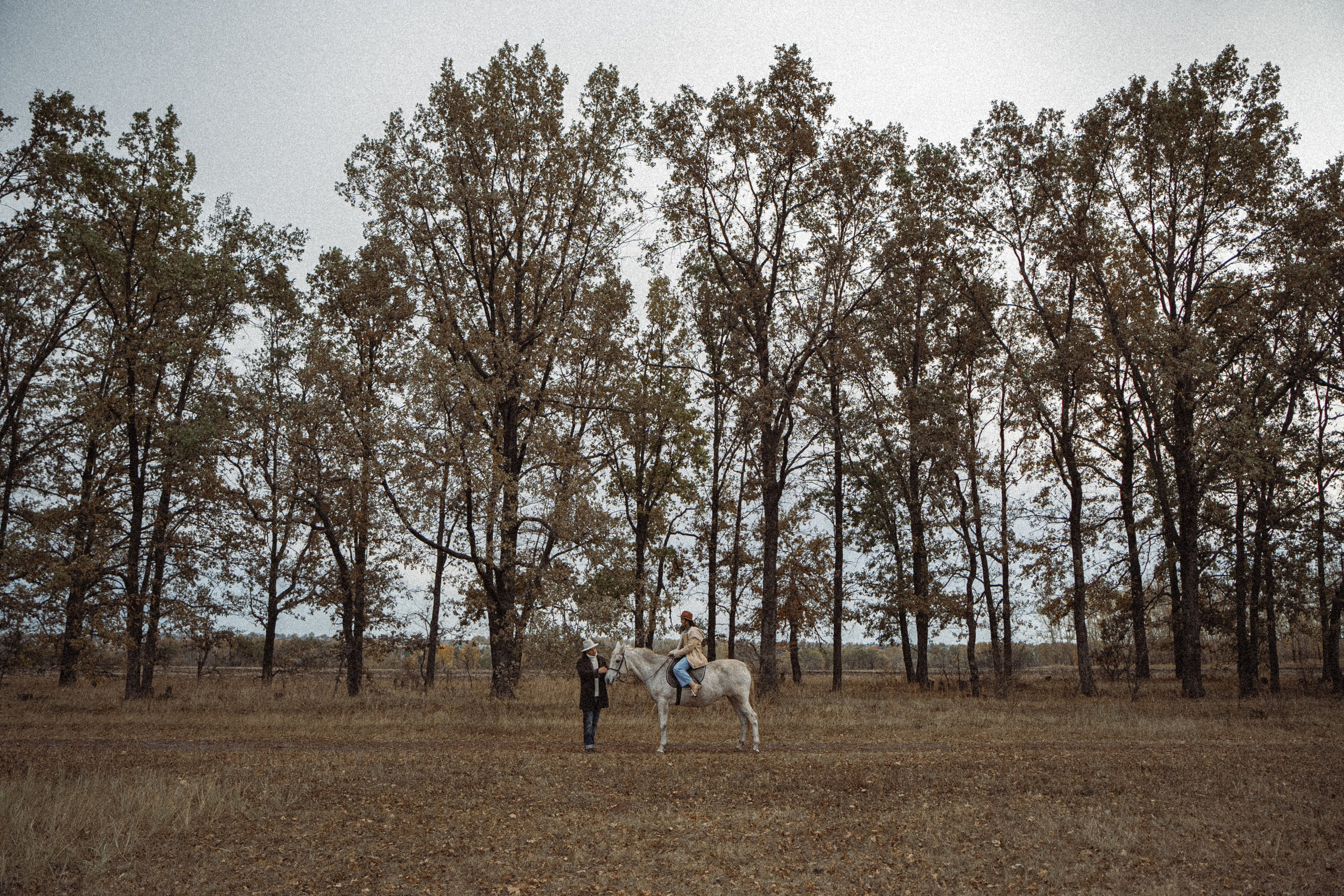 Конюшня. Фотограф Мария Зайчик