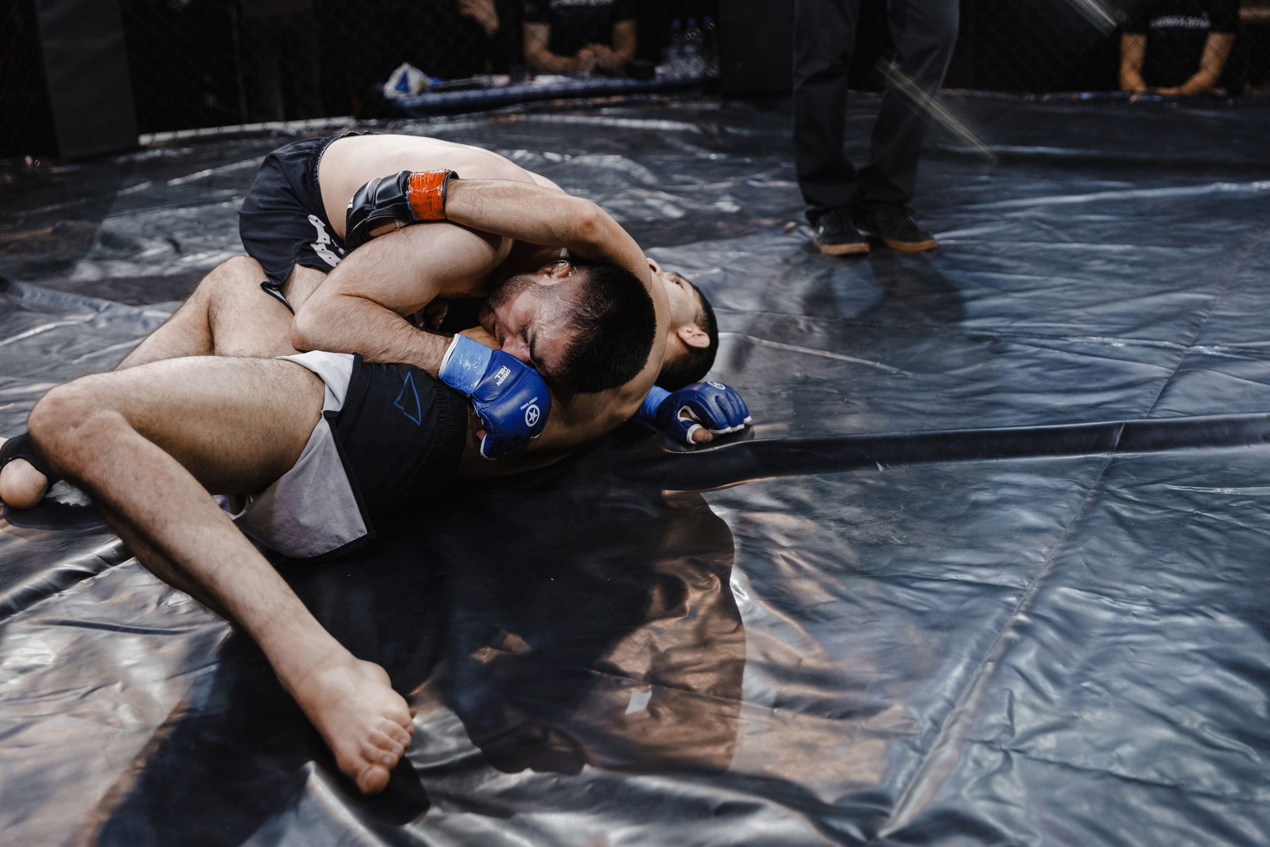 Турнир по ММА «Освобождение» 2023 г. Истра. Свадебный фотограф Фадеева Алёна