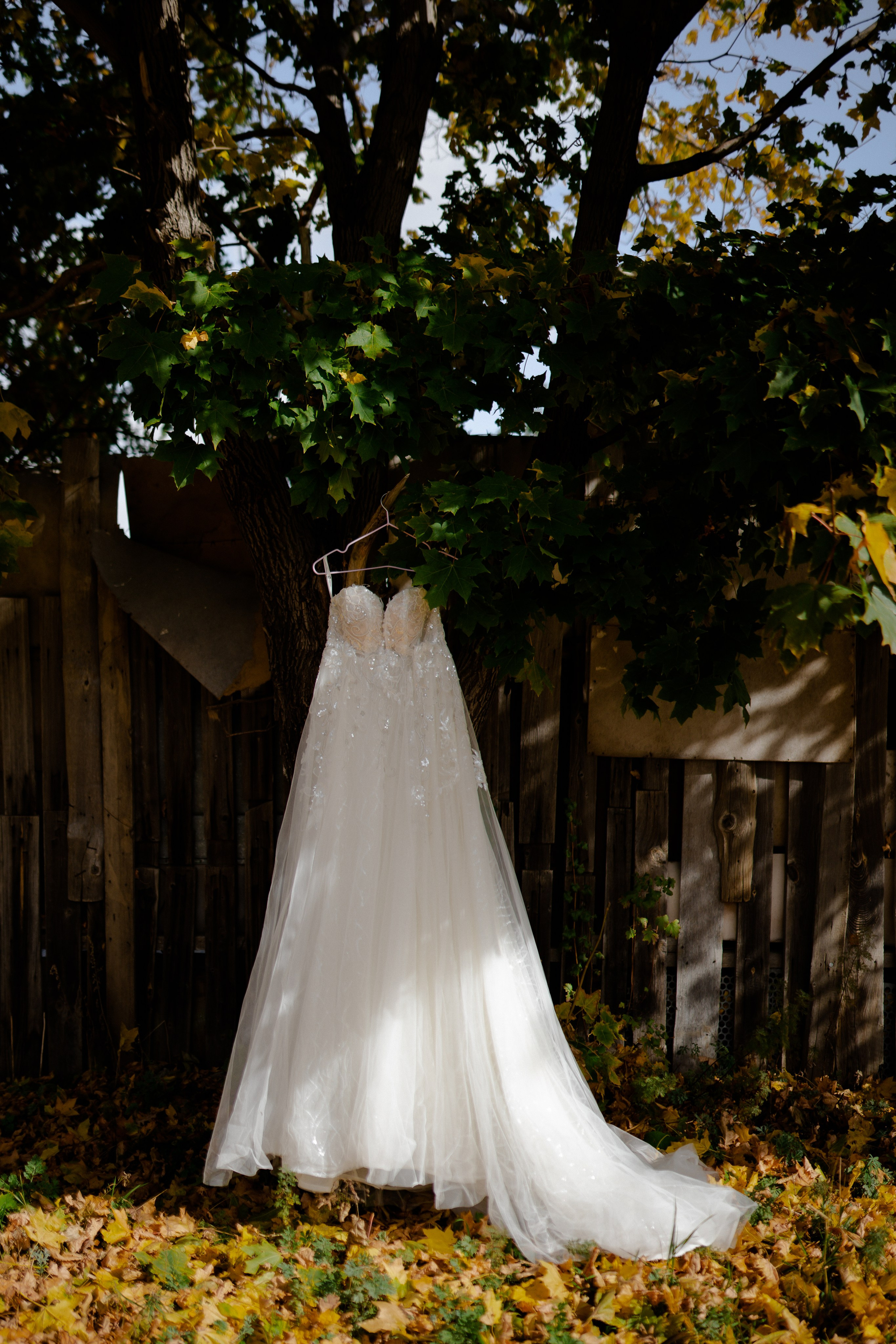 Злата. Алена Баирлина. Фотограф портретный и семейный