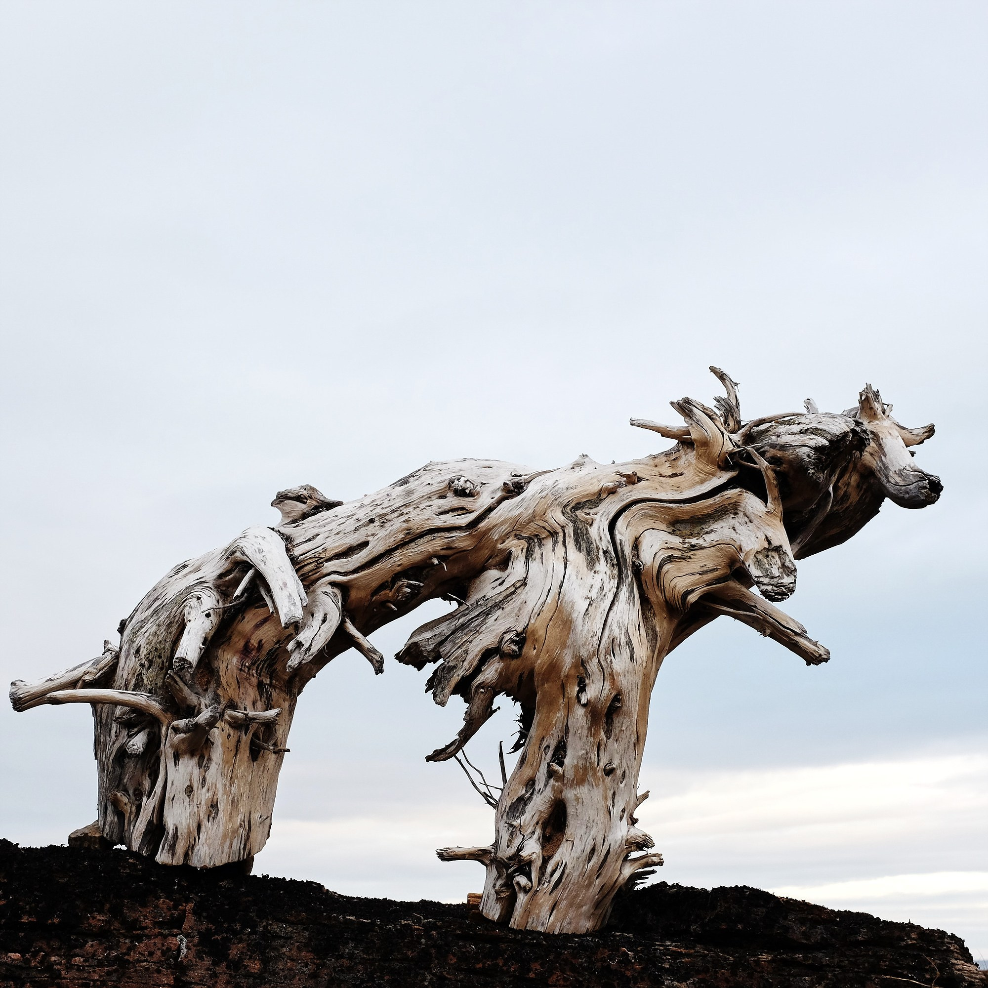 Пространство. Промышленная и репортажная фотография