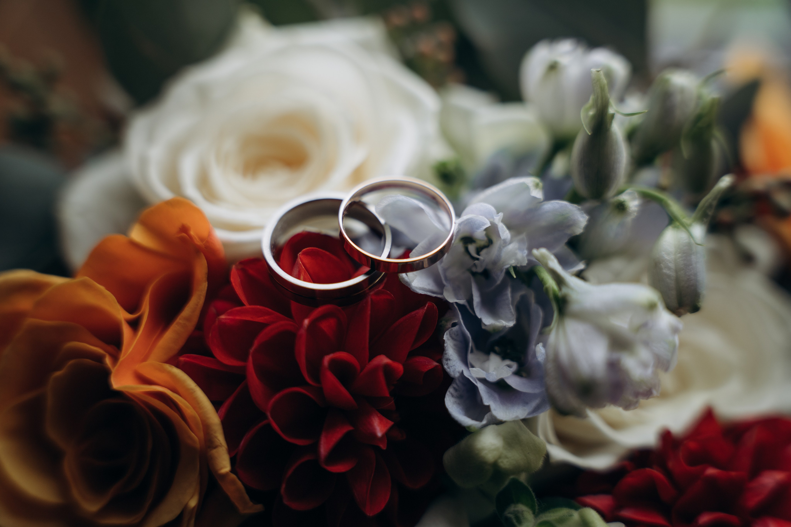 Батыр и Аполлинария. Семейный фотограф в Москве Галина Гончар