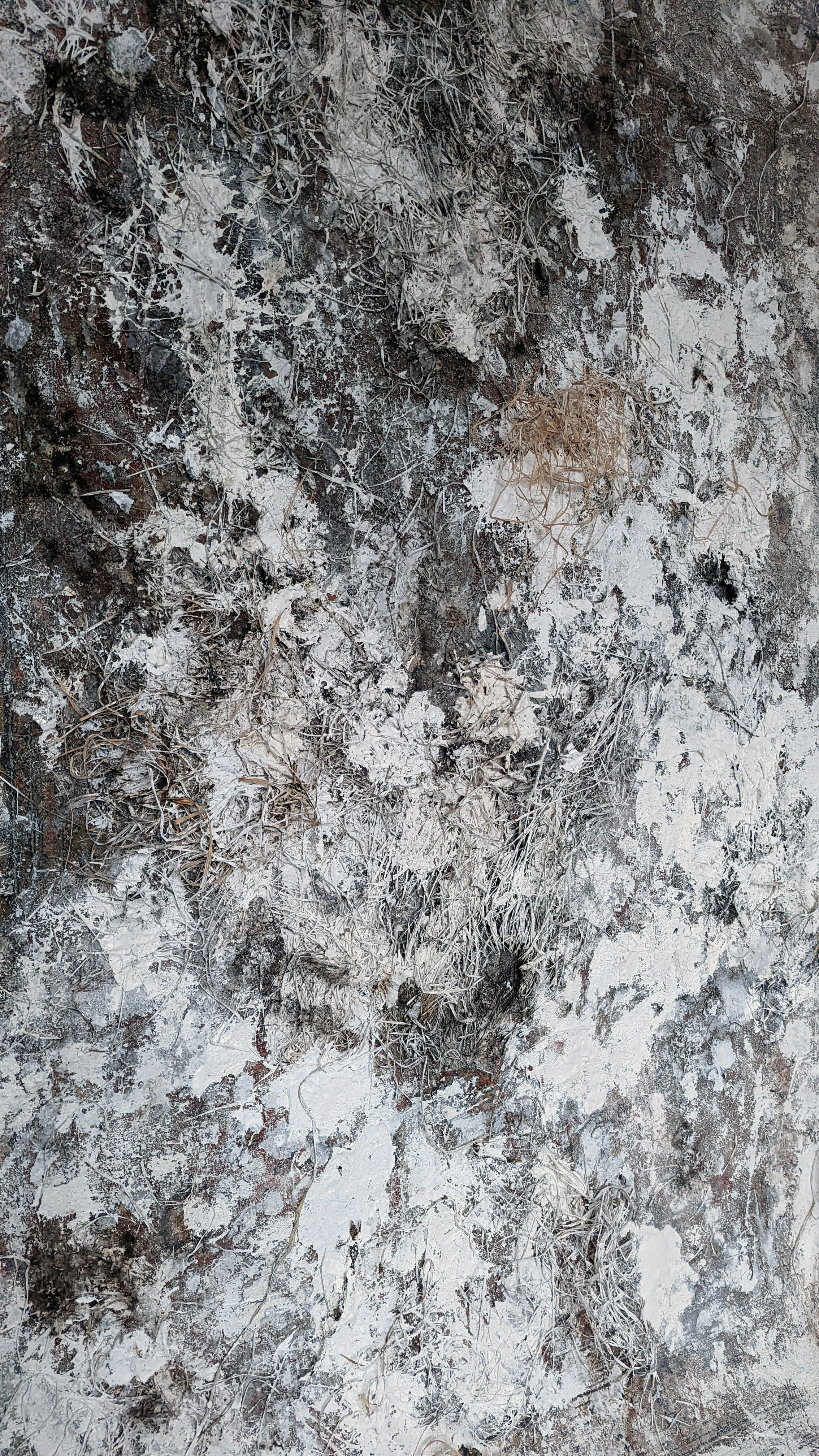 Белый ковёр. Рузанна Тетерина