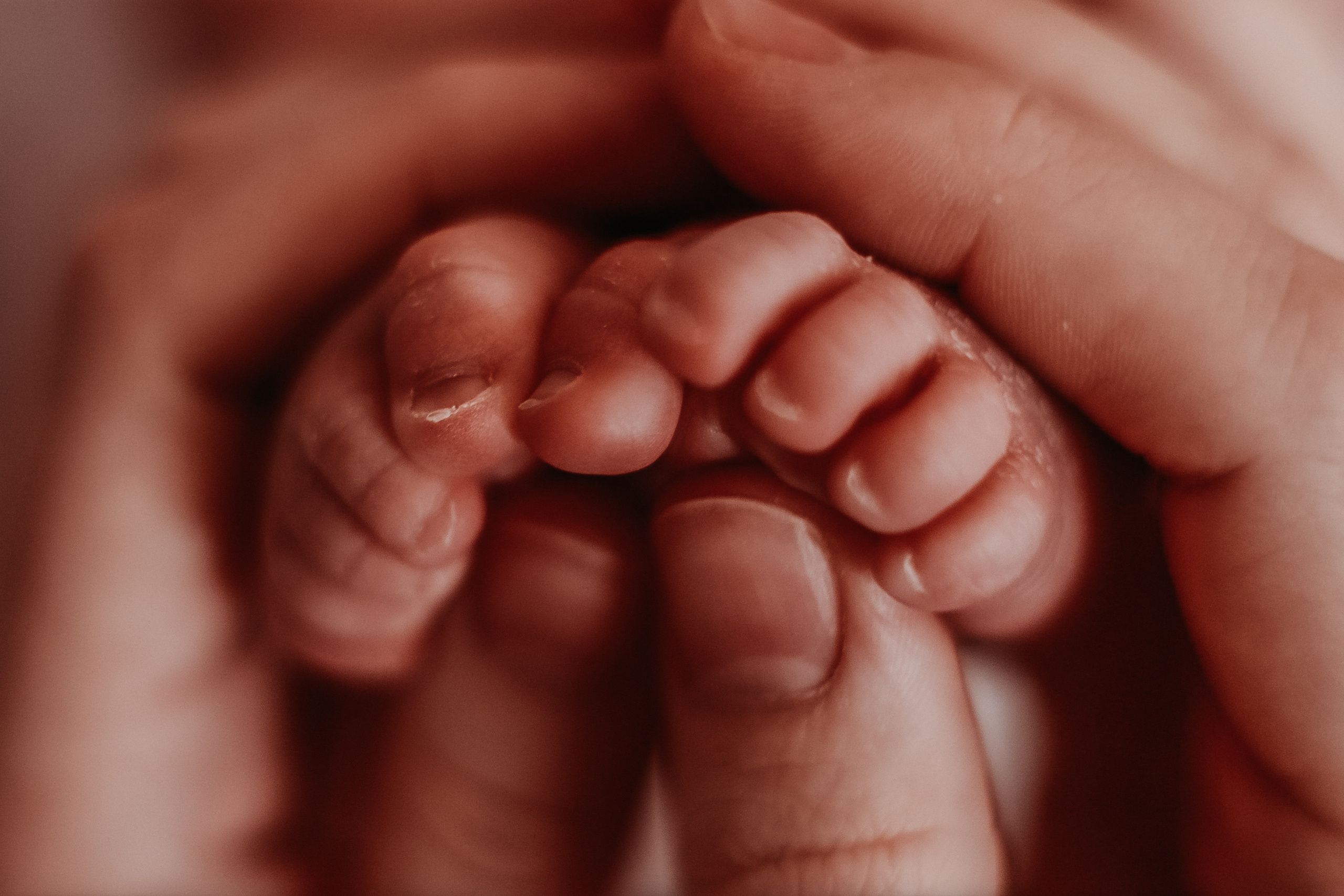 Сборное. Семейный фотограф Тюмень, фотограф на роды Салмина Мария