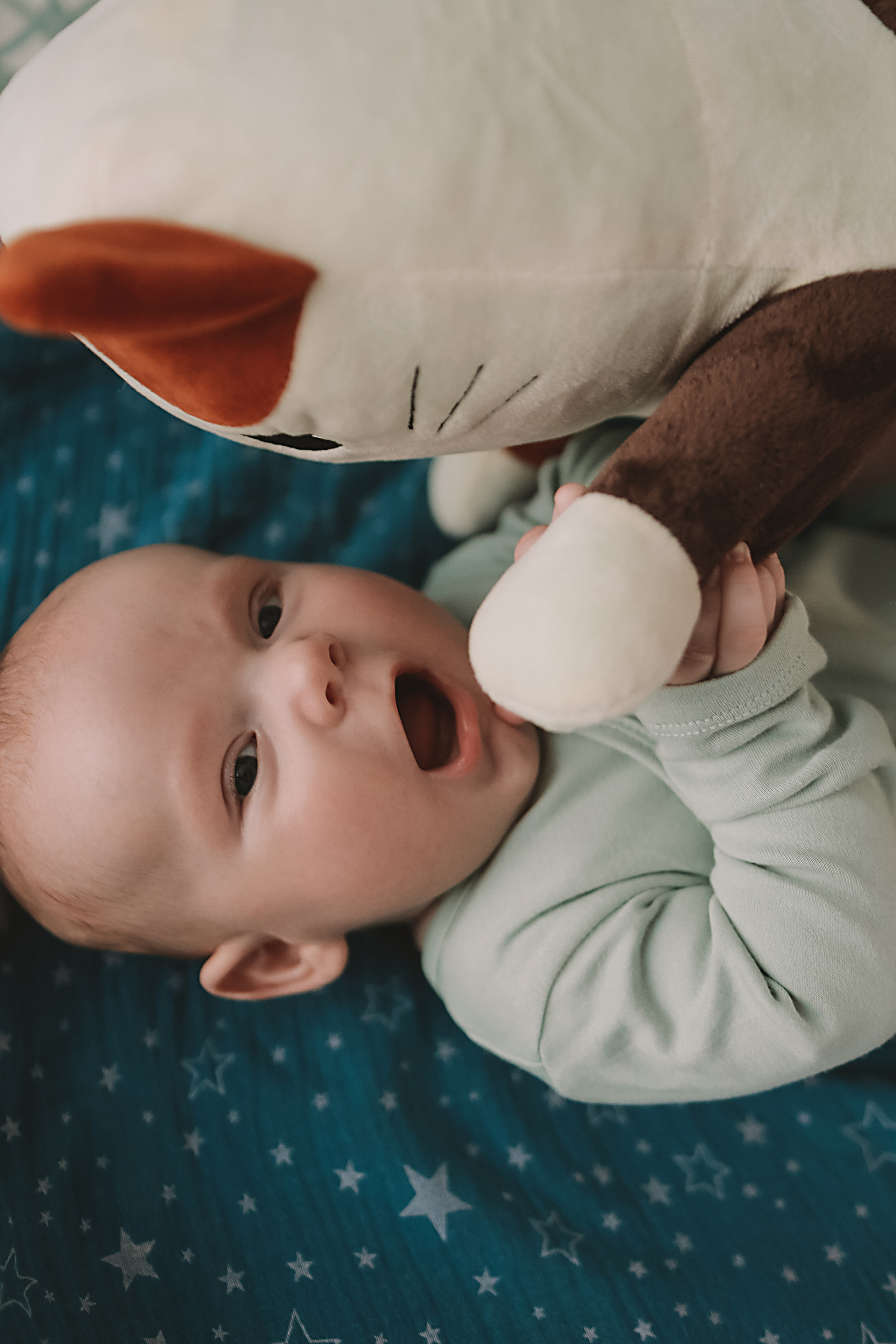 Захар, 3 месяца. Семейный фотограф Тюмень, фотограф на роды Салмина Мария