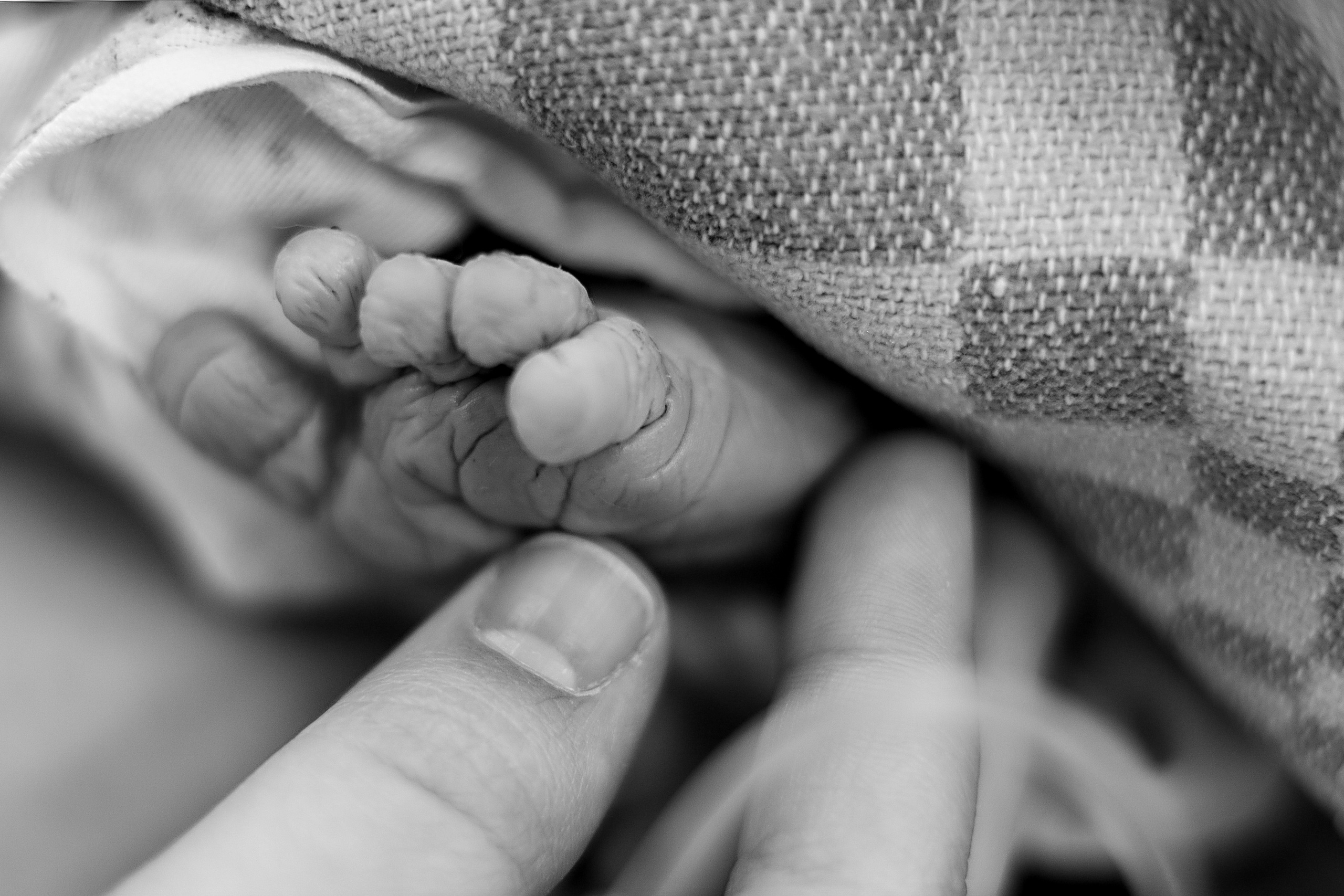 Сборный. Семейный фотограф Тюмень, фотограф на роды Салмина Мария