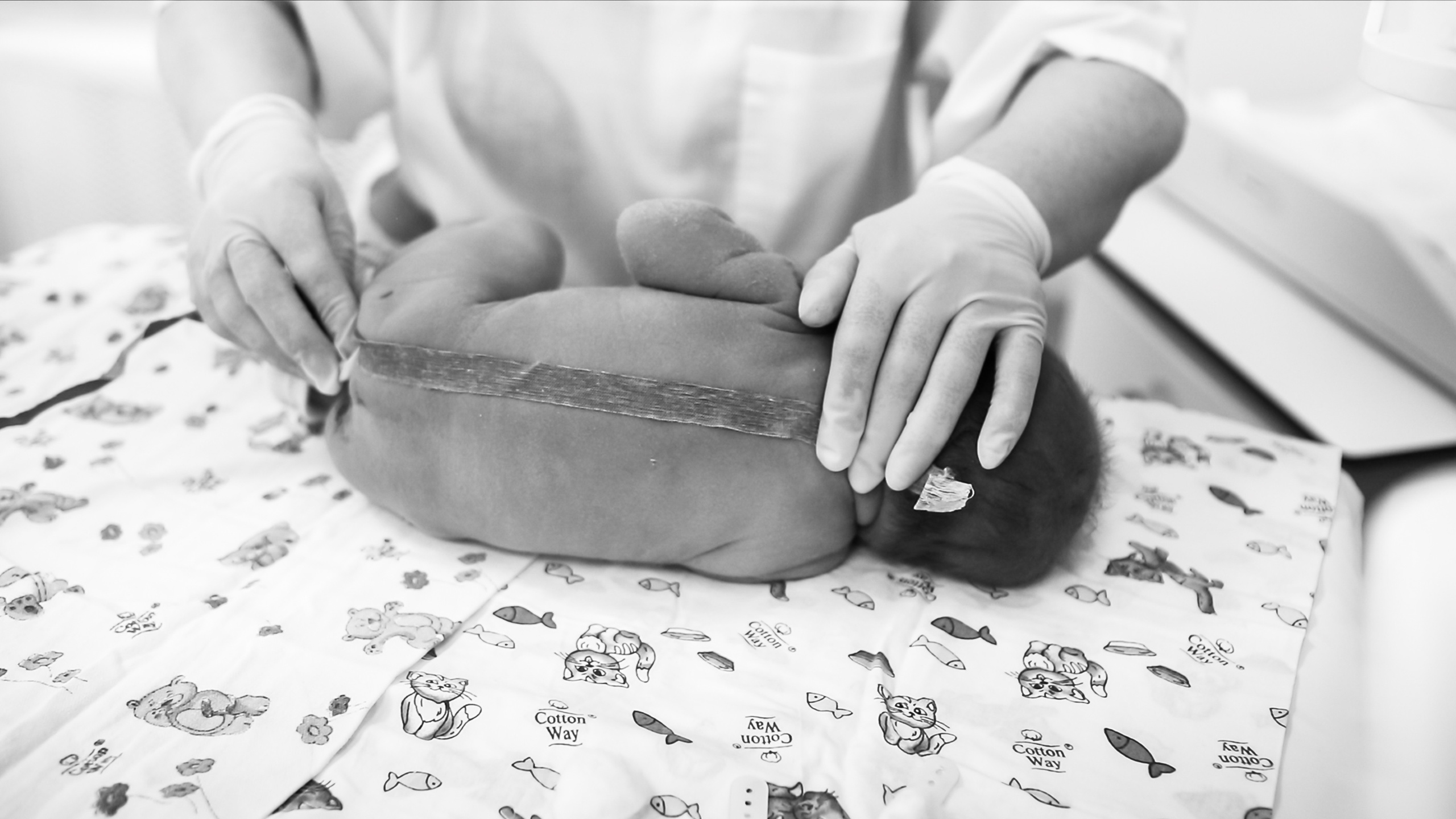 Сборный. Семейный фотограф Тюмень, фотограф на роды Салмина Мария