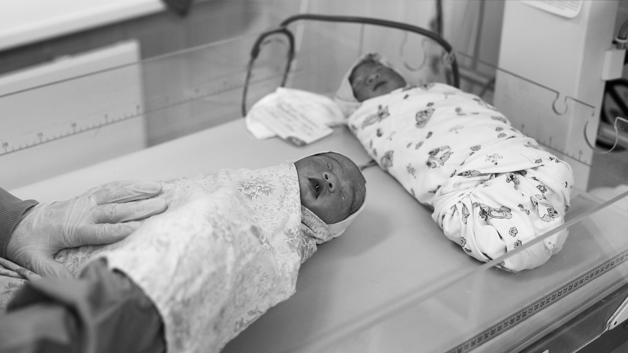 Сборный. Семейный фотограф Тюмень, фотограф на роды Салмина Мария