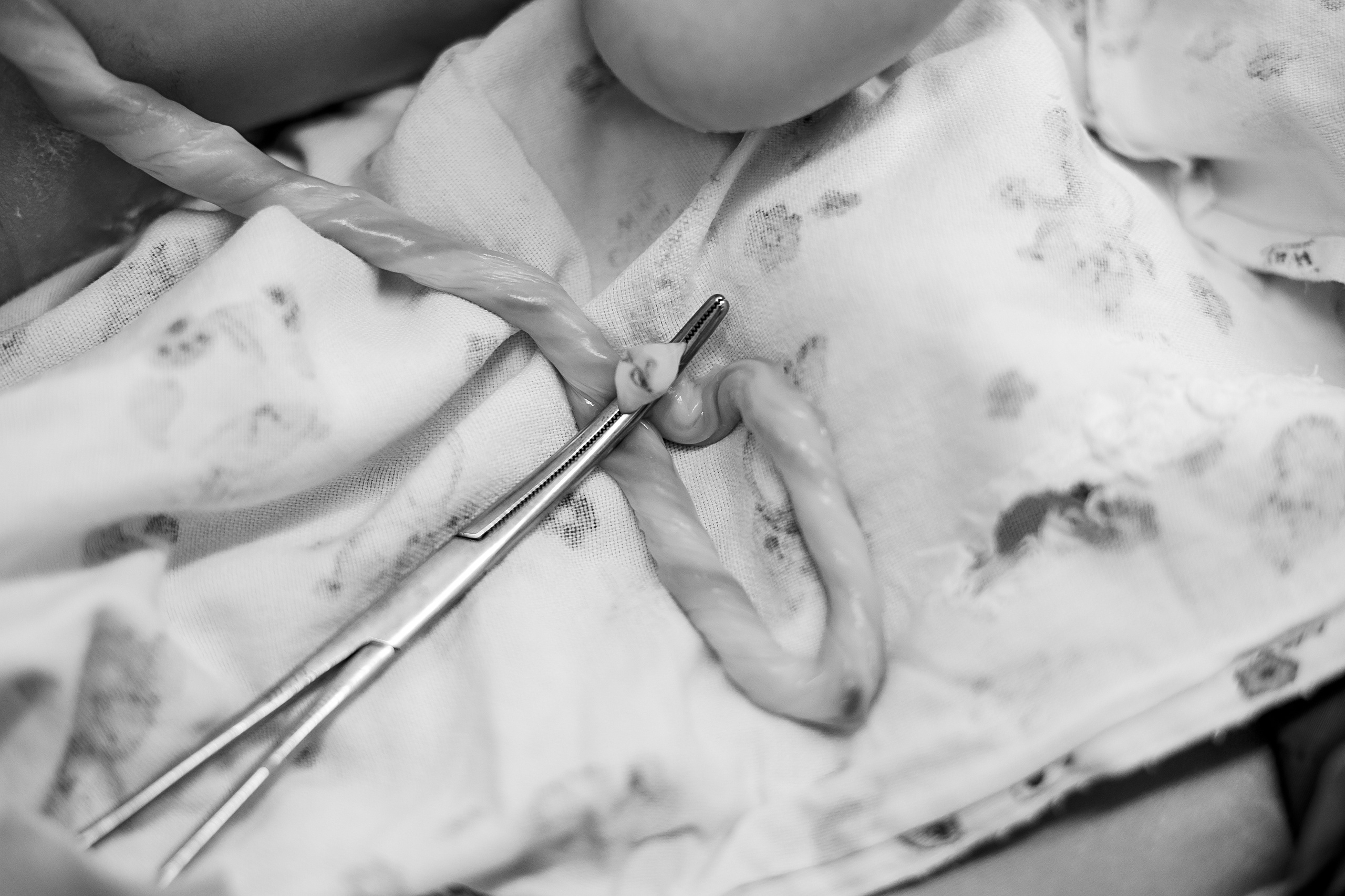 София. Семейный фотограф Тюмень, фотограф на роды Салмина Мария