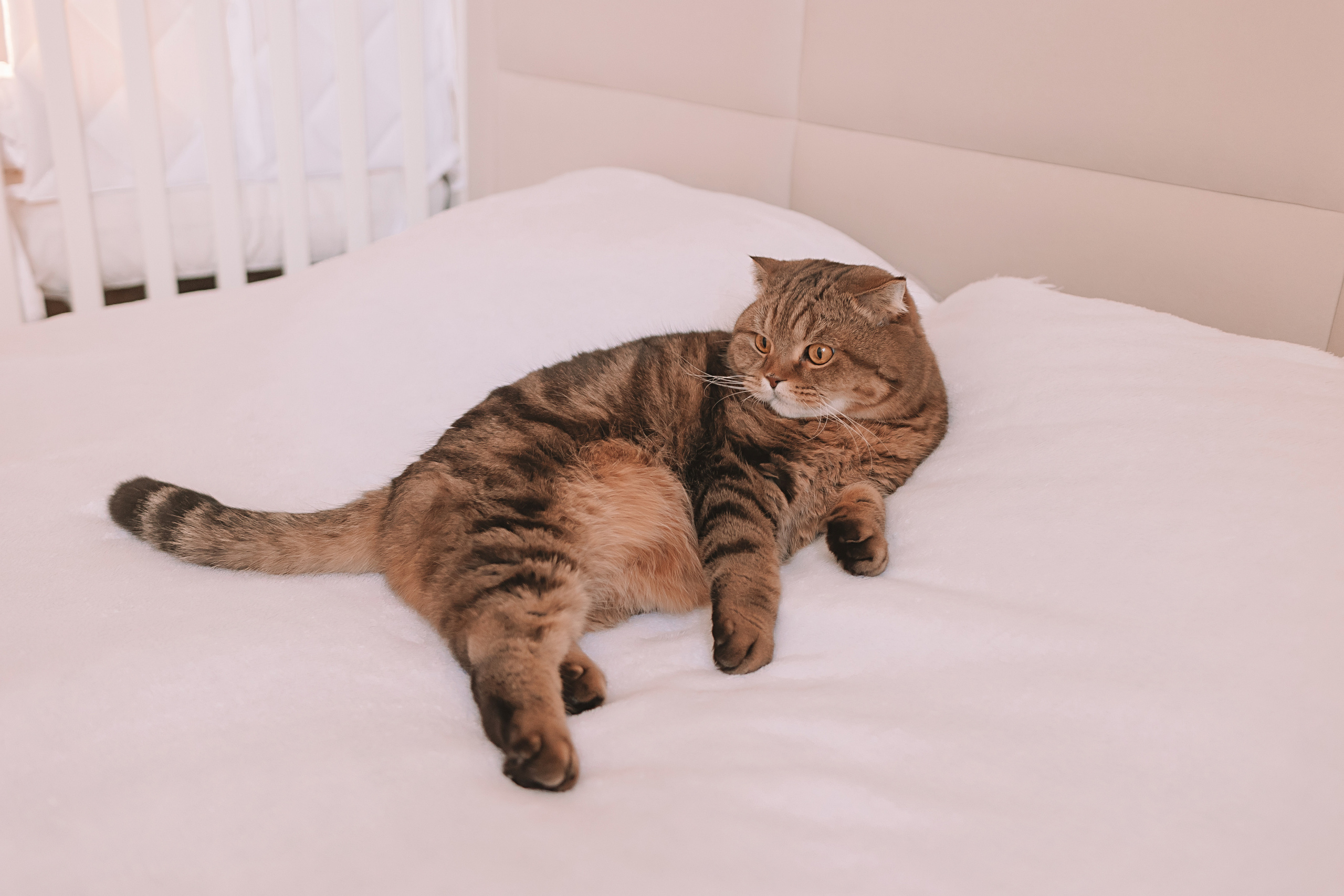 Максим. Семейный фотограф Тюмень, фотограф на роды Салмина Мария