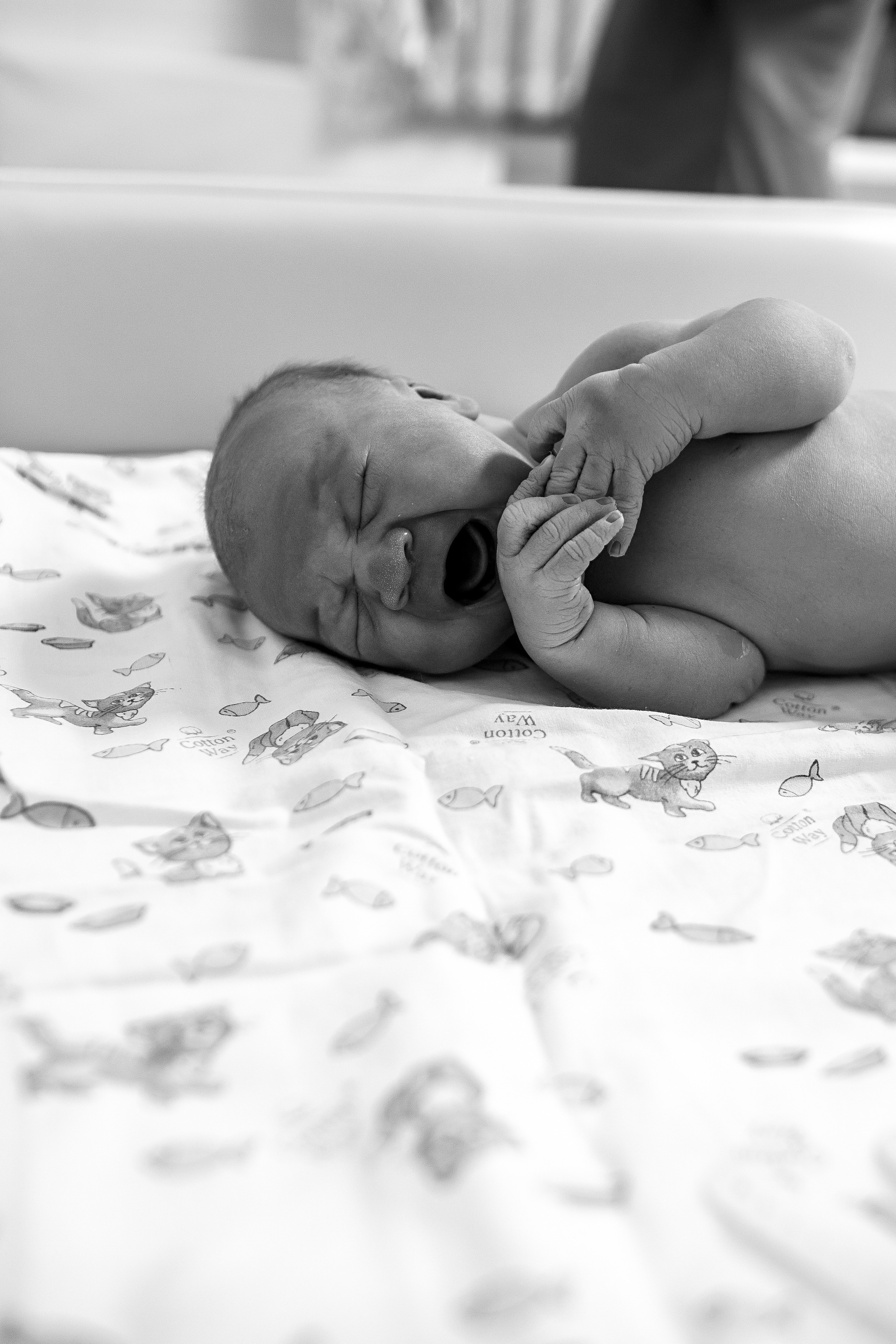 29 ноября 2022 Руслан. Семейный фотограф Тюмень, фотограф на роды Салмина Мария