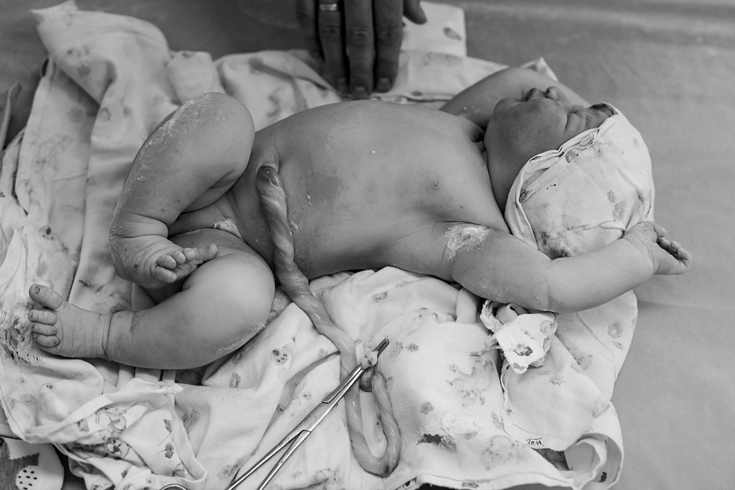 София. Семейный фотограф Тюмень, фотограф на роды Салмина Мария