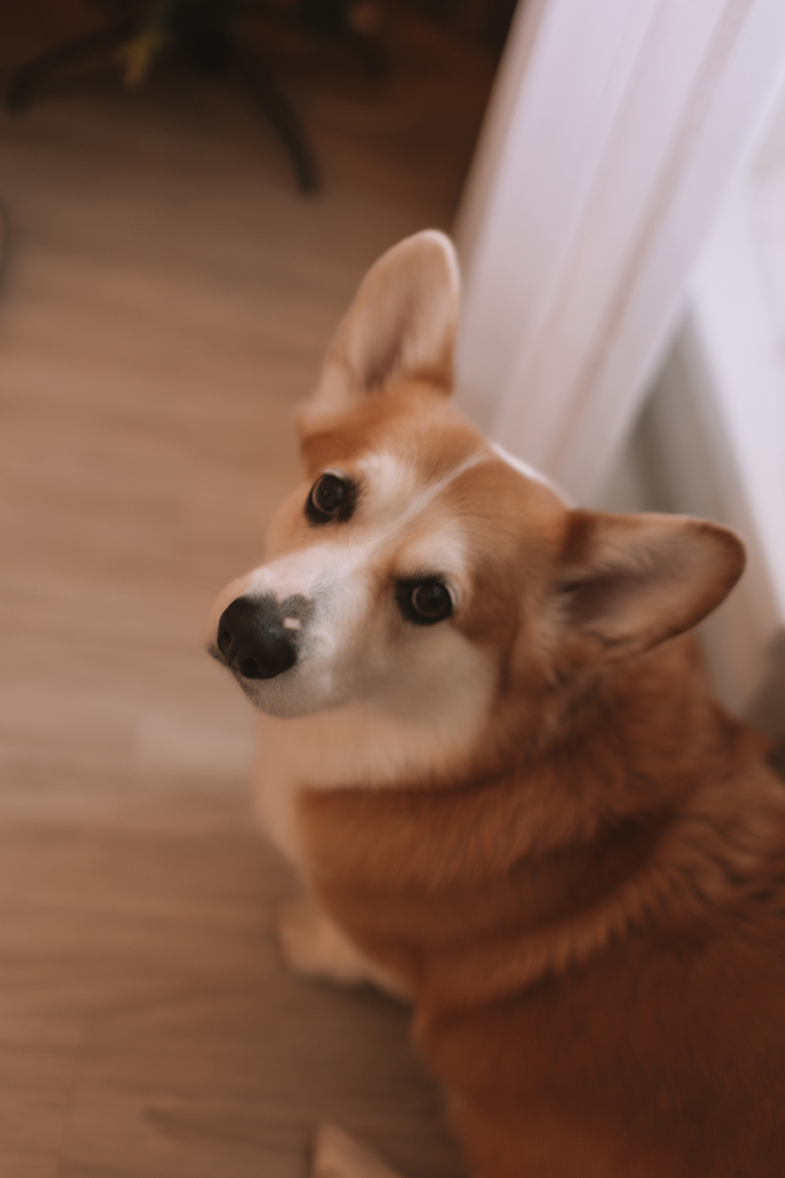 Очень активный Лев. Семейный фотограф Тюмень, фотограф на роды Салмина Мария