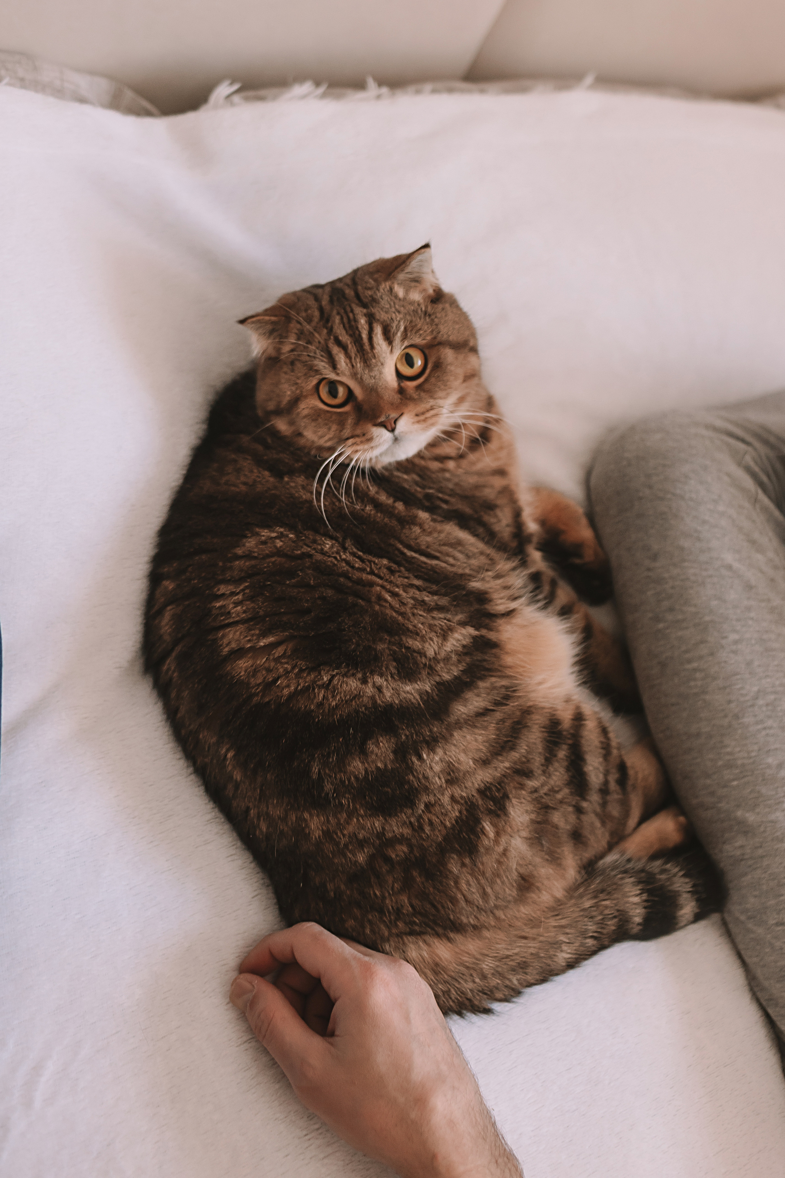 Максим. Семейный фотограф Тюмень, фотограф на роды Салмина Мария