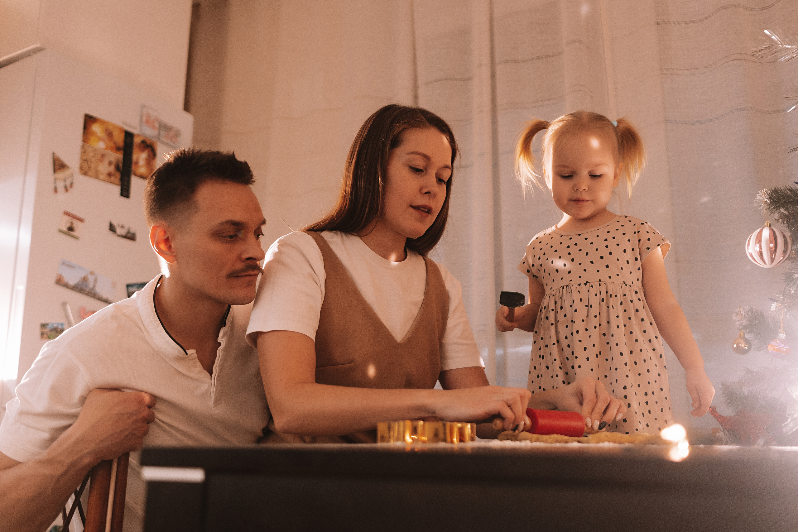 Новогодняя. Семейный фотограф Тюмень, фотограф на роды Салмина Мария