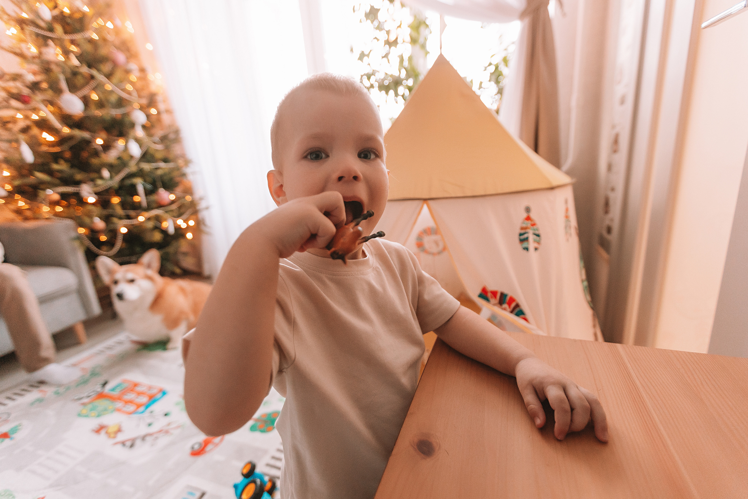 Очень активный Лев. Семейный фотограф Тюмень, фотограф на роды Салмина Мария
