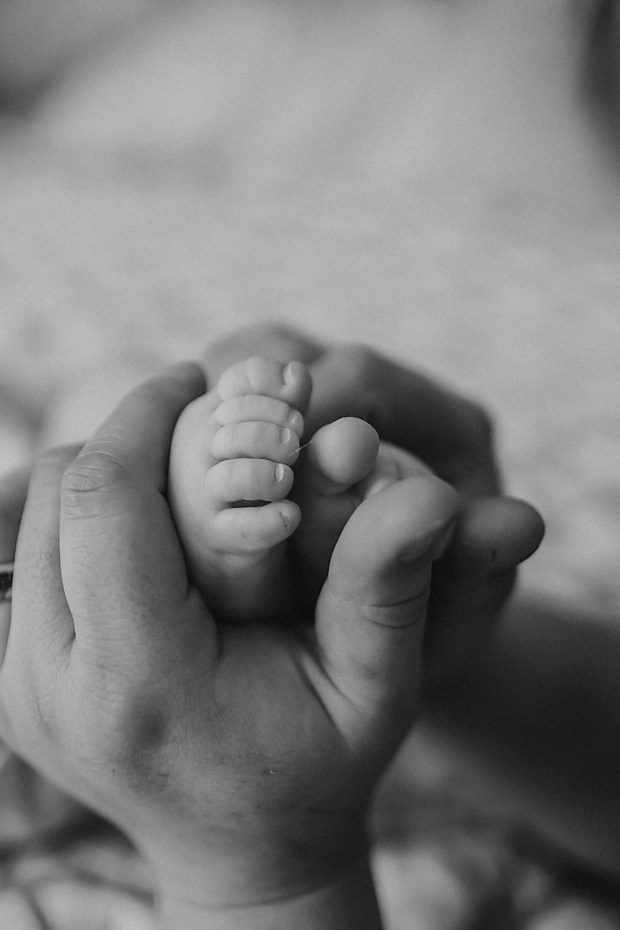 Захар, 3 месяца. Семейный фотограф Тюмень, фотограф на роды Салмина Мария