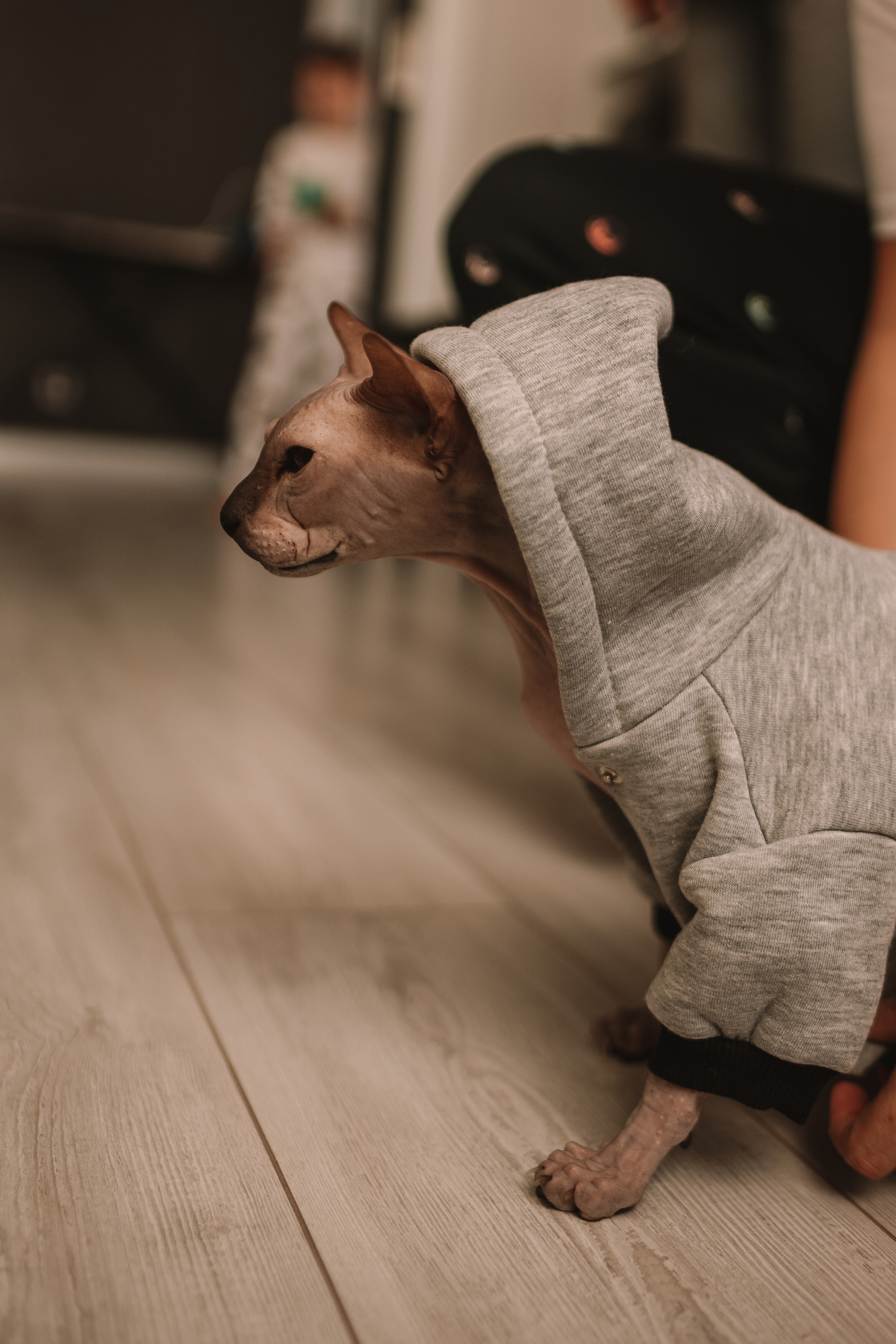 Новогодний Синнабон. Семейный фотограф Тюмень, фотограф на роды Салмина Мария