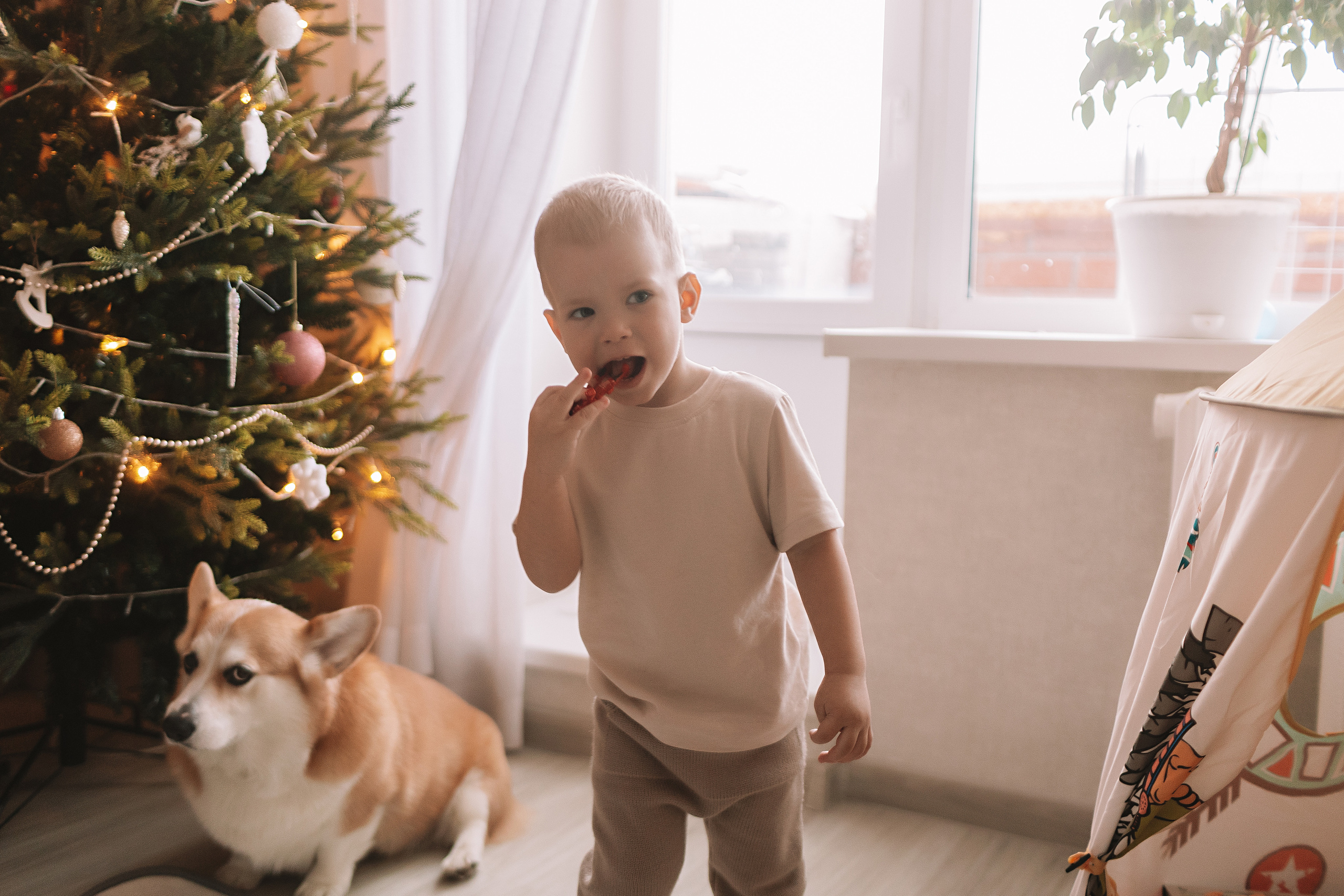 Очень активный Лев. Семейный фотограф Тюмень, фотограф на роды Салмина Мария