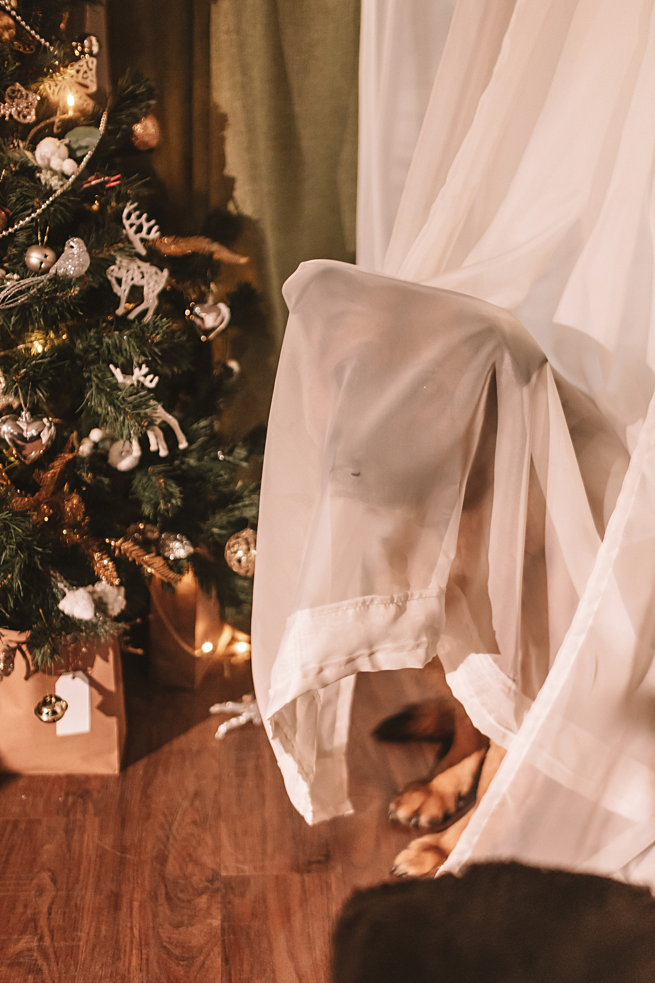 Вечерняя лав стори. Семейный фотограф Тюмень, фотограф на роды Салмина Мария