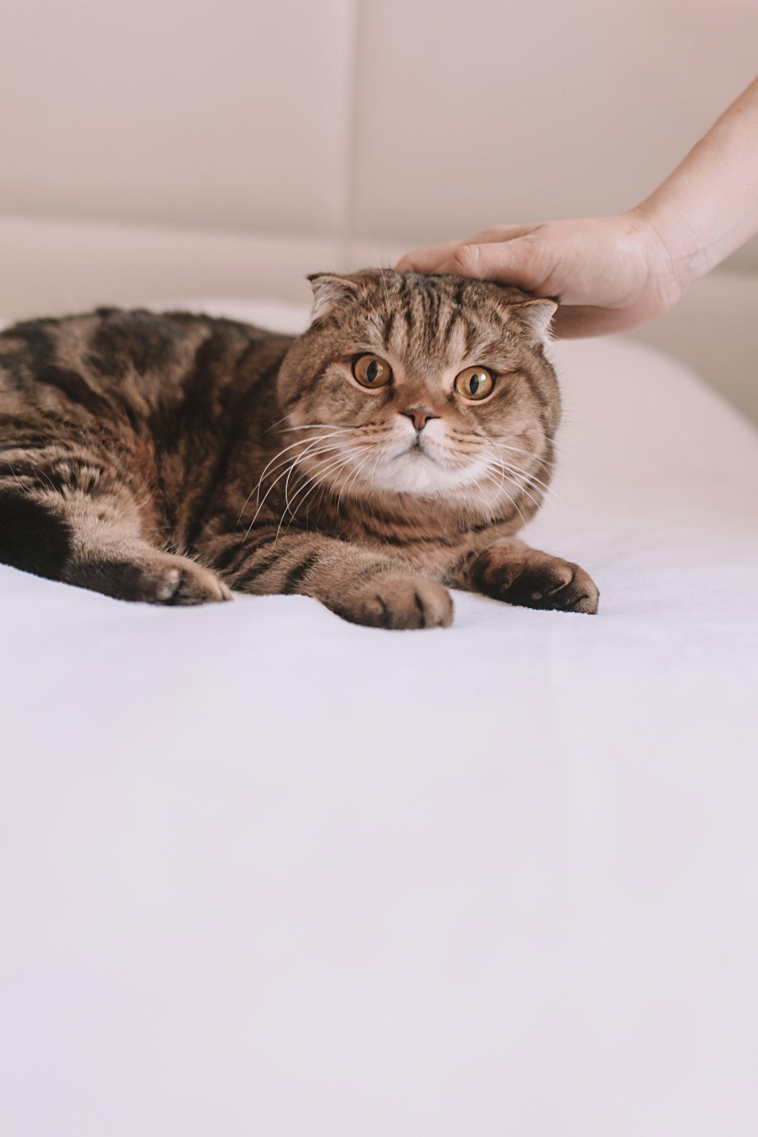 Максим. Семейный фотограф Тюмень, фотограф на роды Салмина Мария