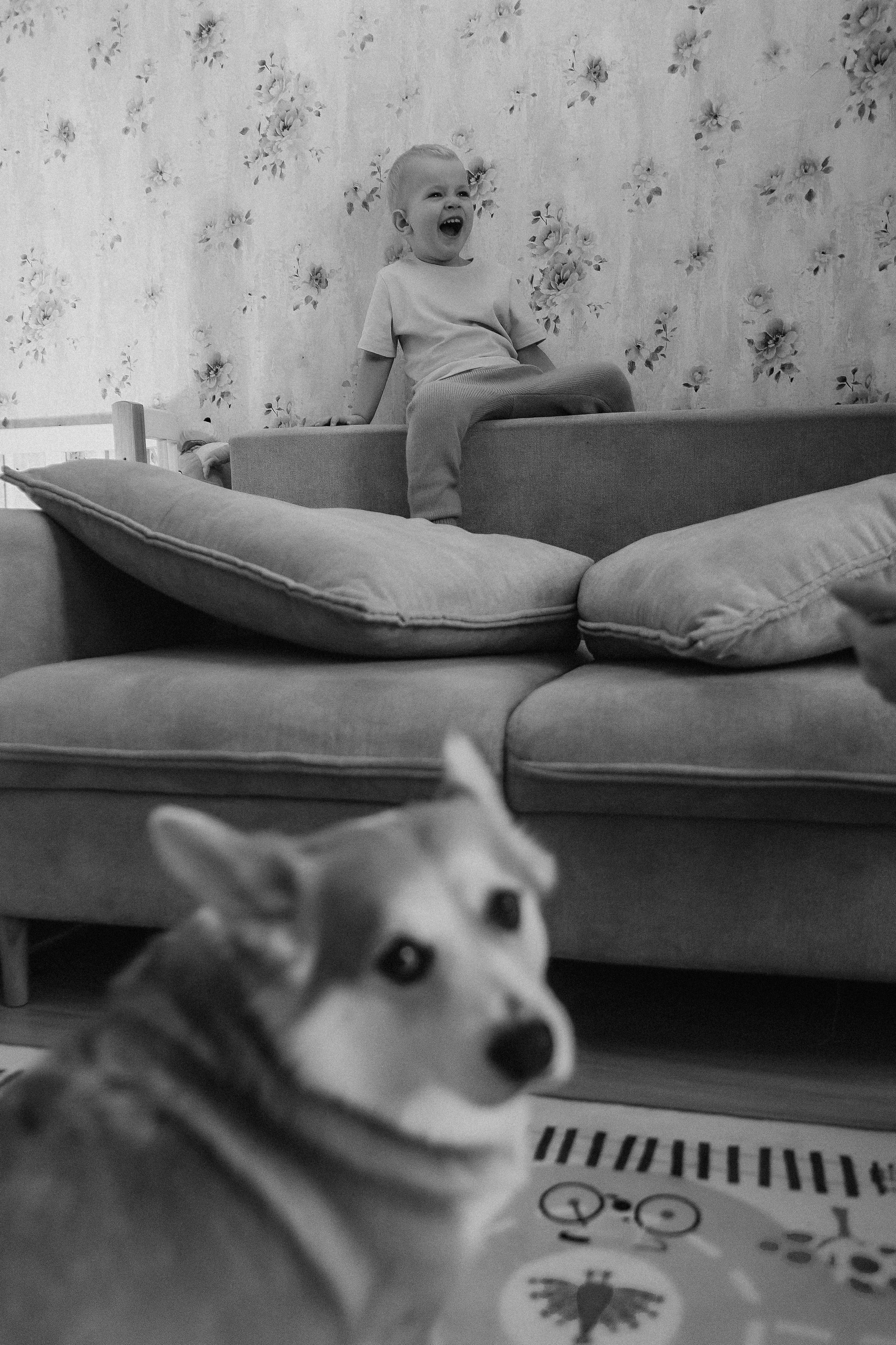 Очень активный Лев. Семейный фотограф Тюмень, фотограф на роды Салмина Мария