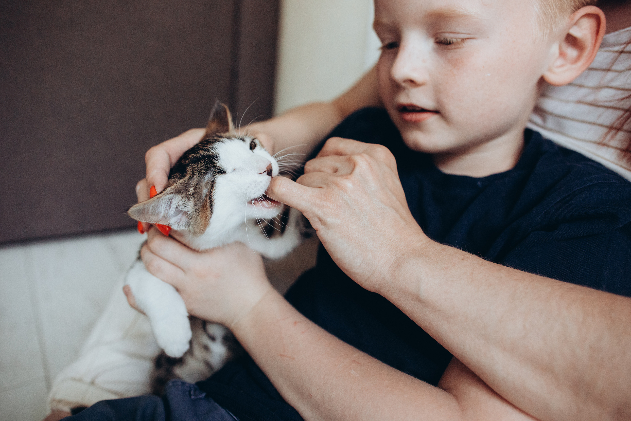 Саша. Семейный фотограф в Краснодаре Анна Пасик