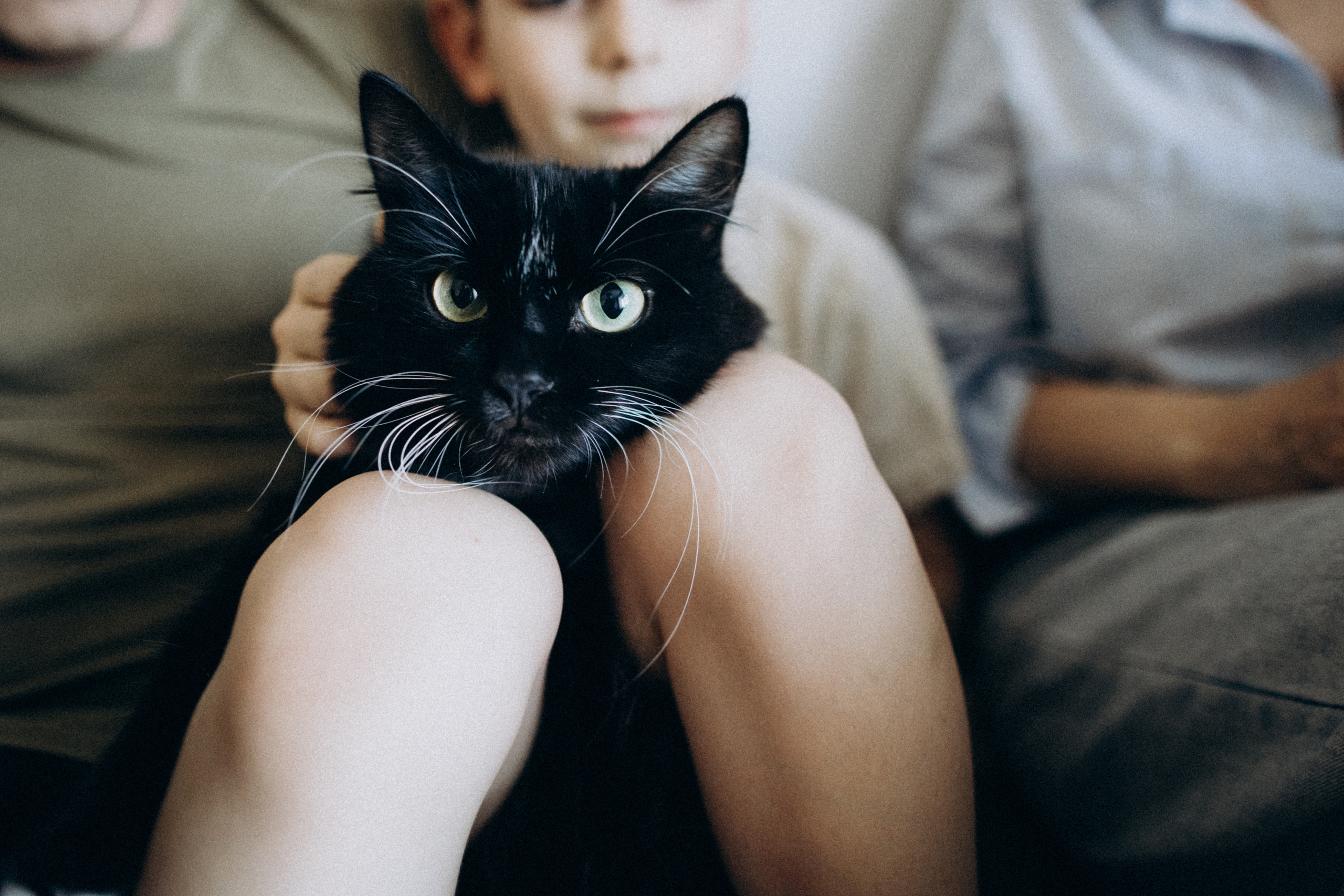 Наташа Коля и Гоша. Семейный фотограф в Краснодаре Анна Пасик