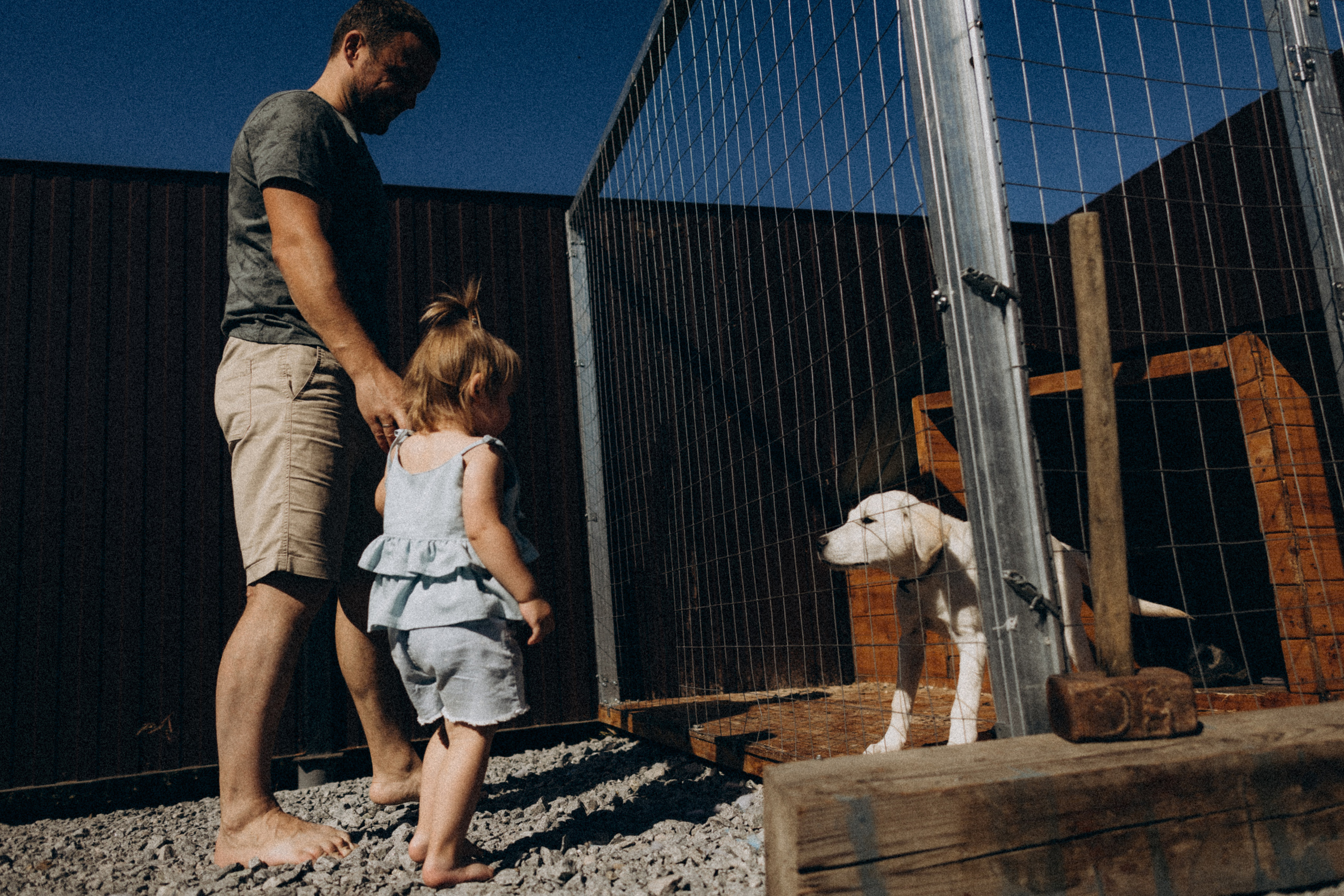 Ира Женя Лиза Стеша Никита. Семейный фотограф в Краснодаре Анна Пасик