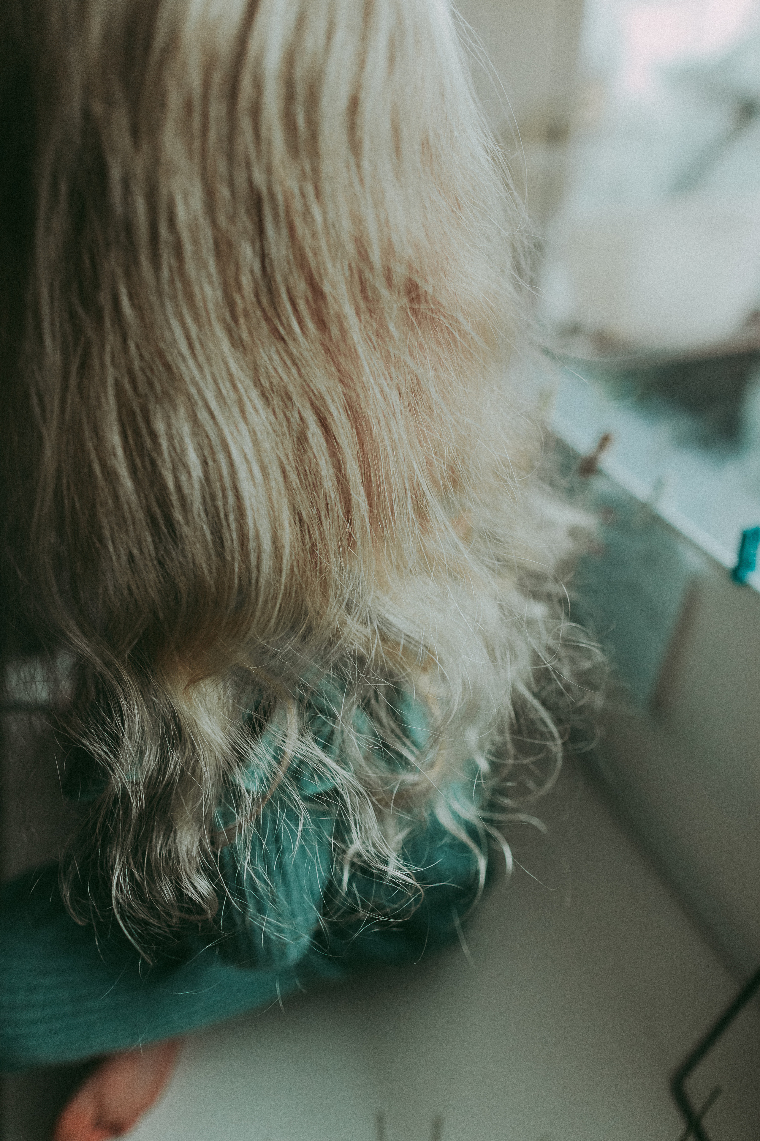 Настя Дима Даня Даша. Семейный фотограф в Краснодаре Анна Пасик