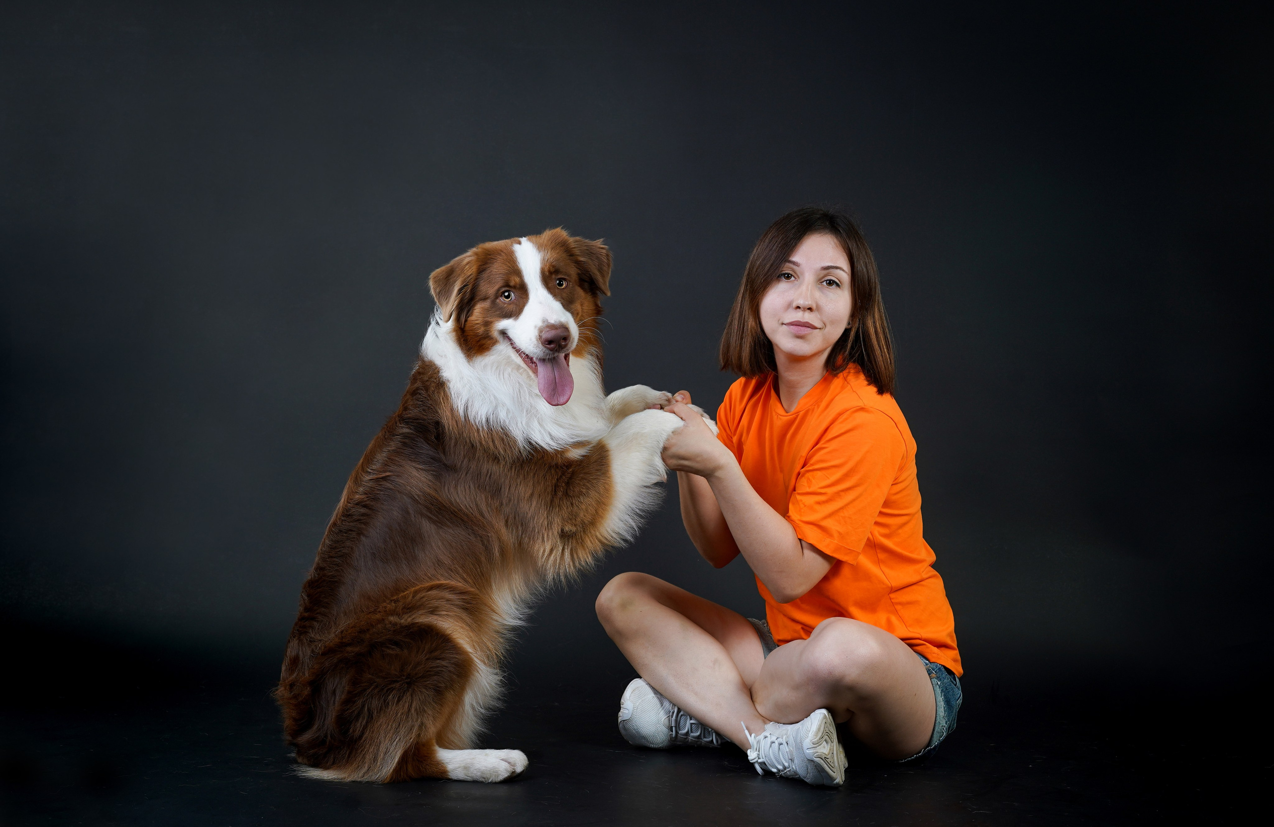 Ксюша, сиба Тэффи и австралийцы Арчи и Нэо. Фотограф-анималист в Санкт-Петербурге Яна Мартынова