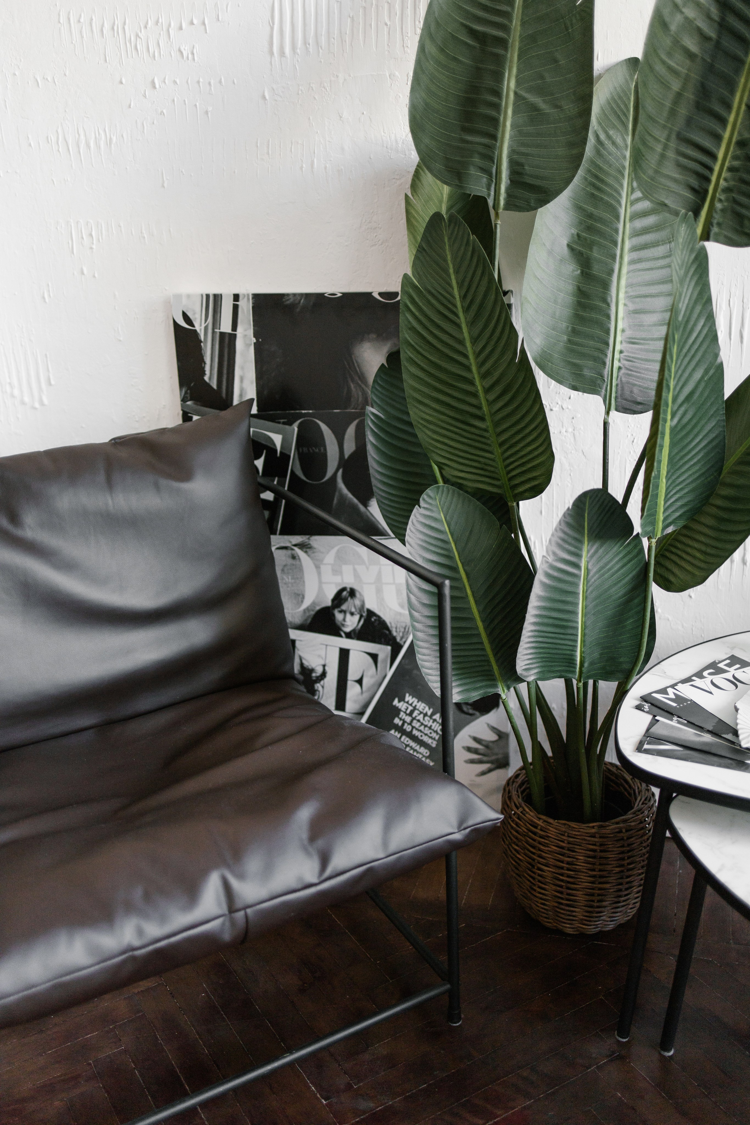 ИНТЕРЬЕР СТУДИИ. PLOMBIR PHOTOSTUDIO