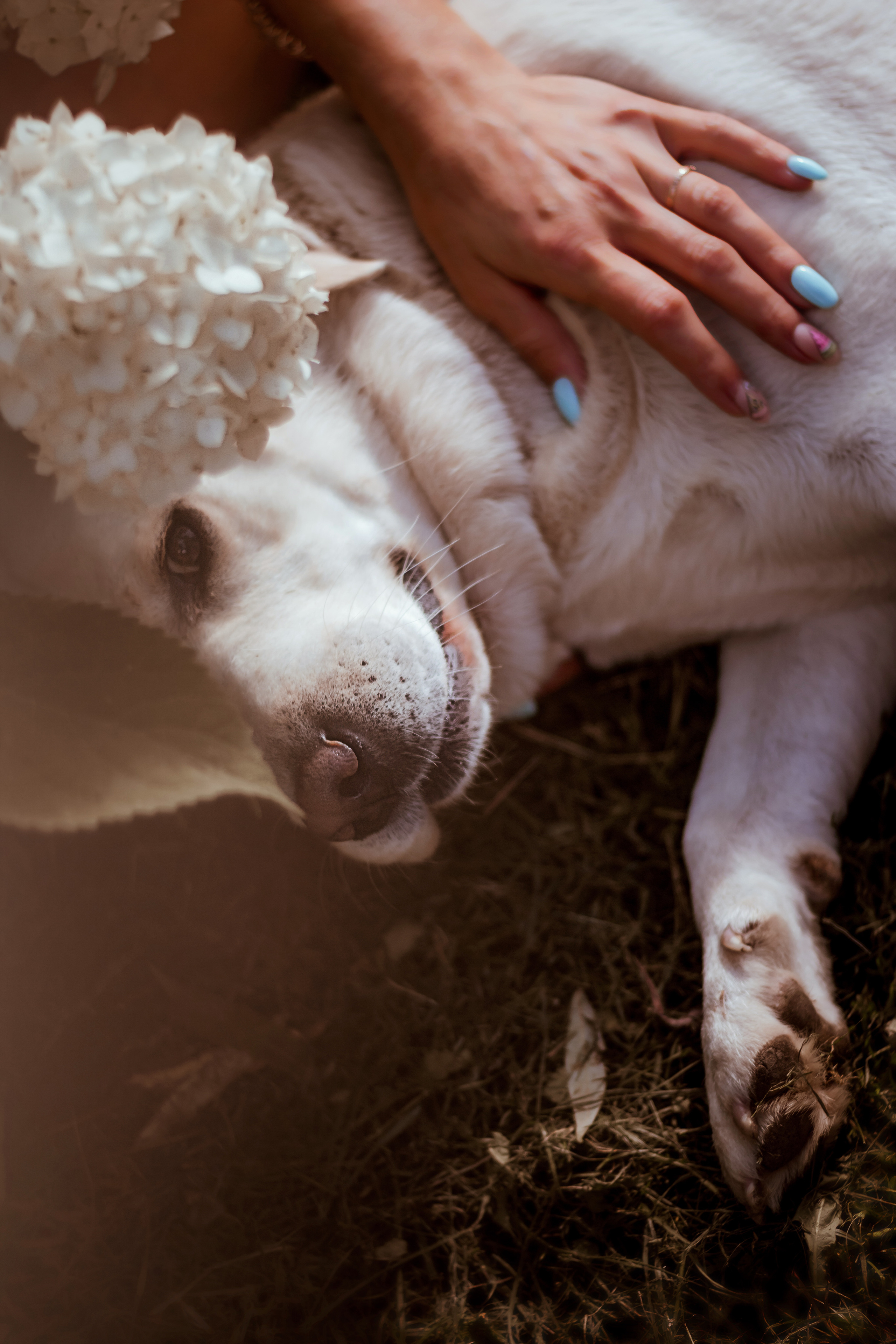 Аня. Фотограф Мария Винницкая