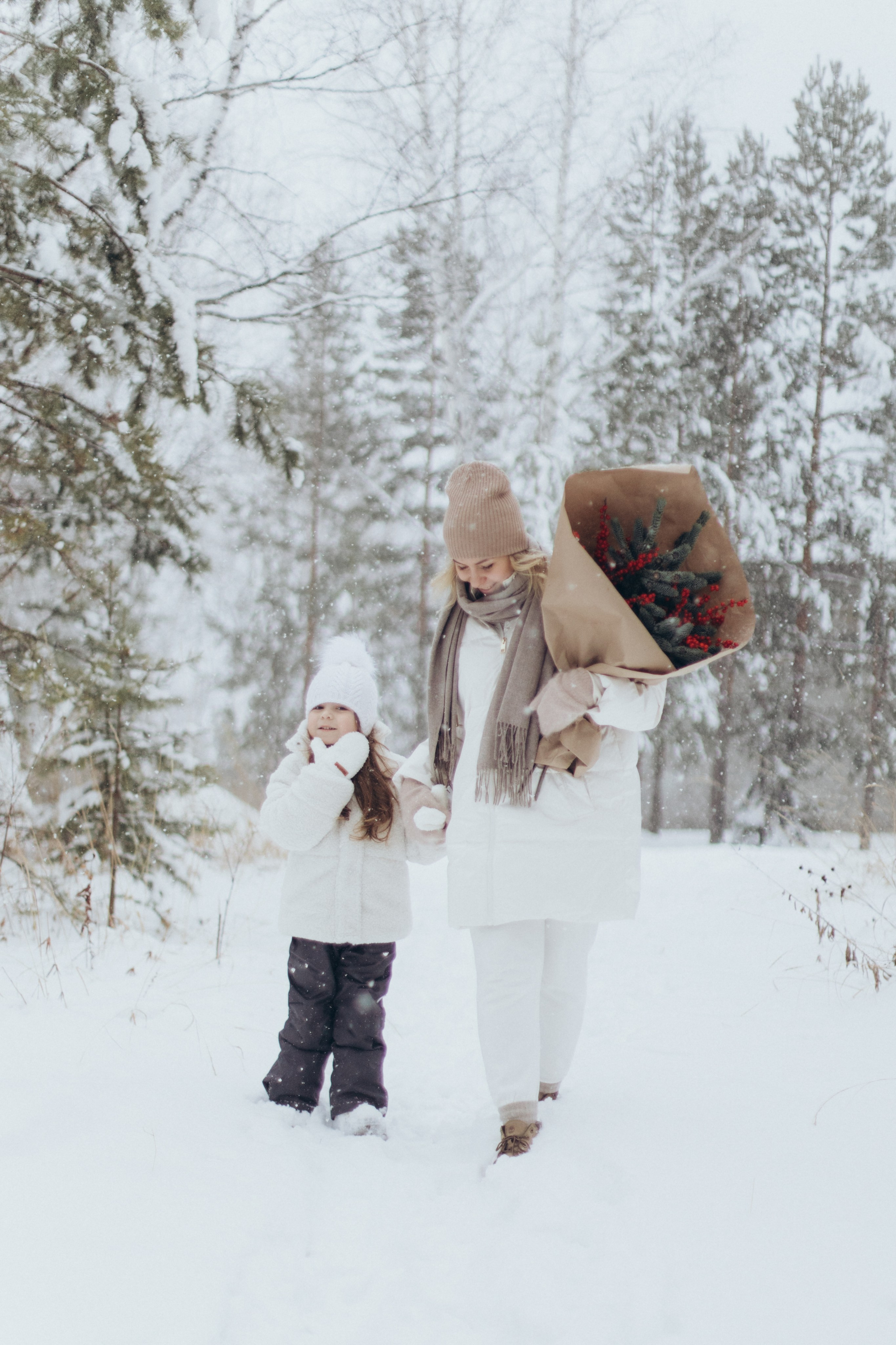 Зимняя история