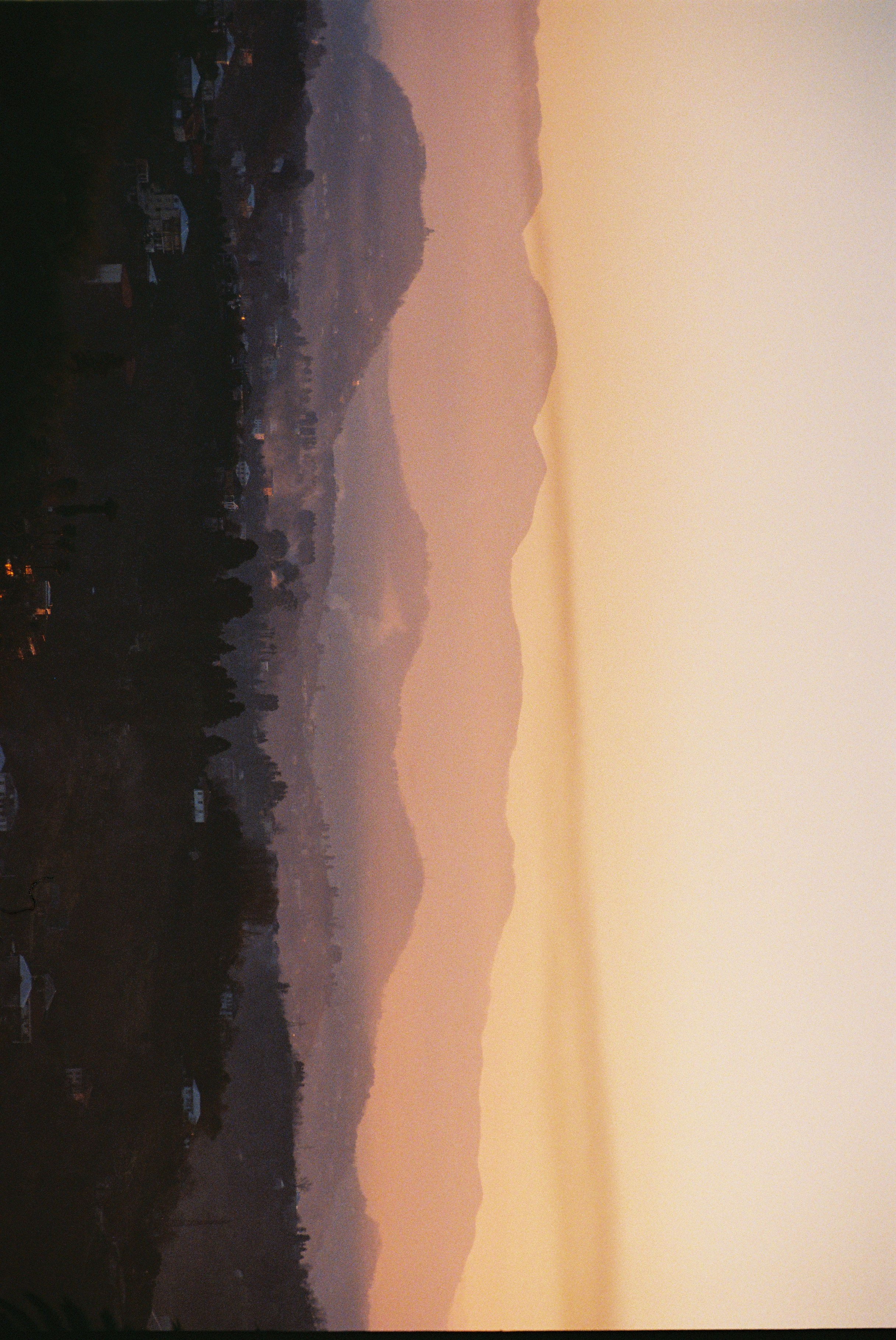 ON THE GO. Сocoobird || Атмосфера твоего бренда в снимках и видео