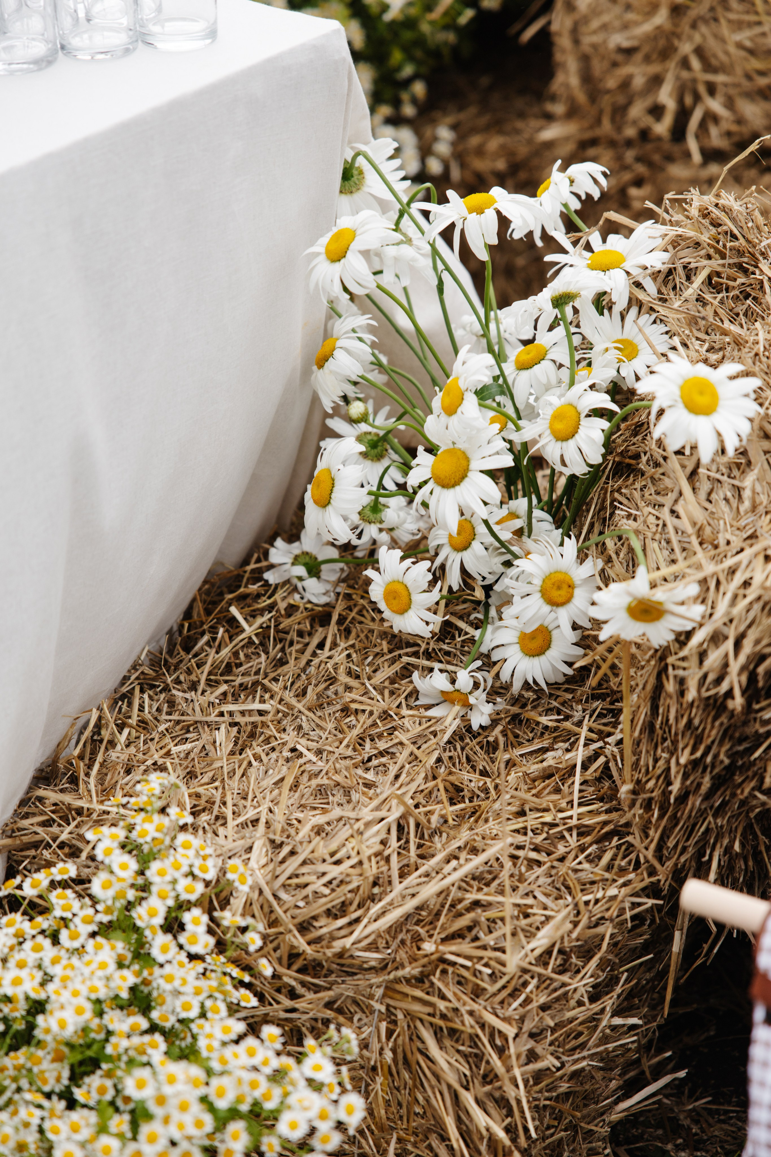 ГЕНДЕР ПАТИ. Фотограф в Красноярске