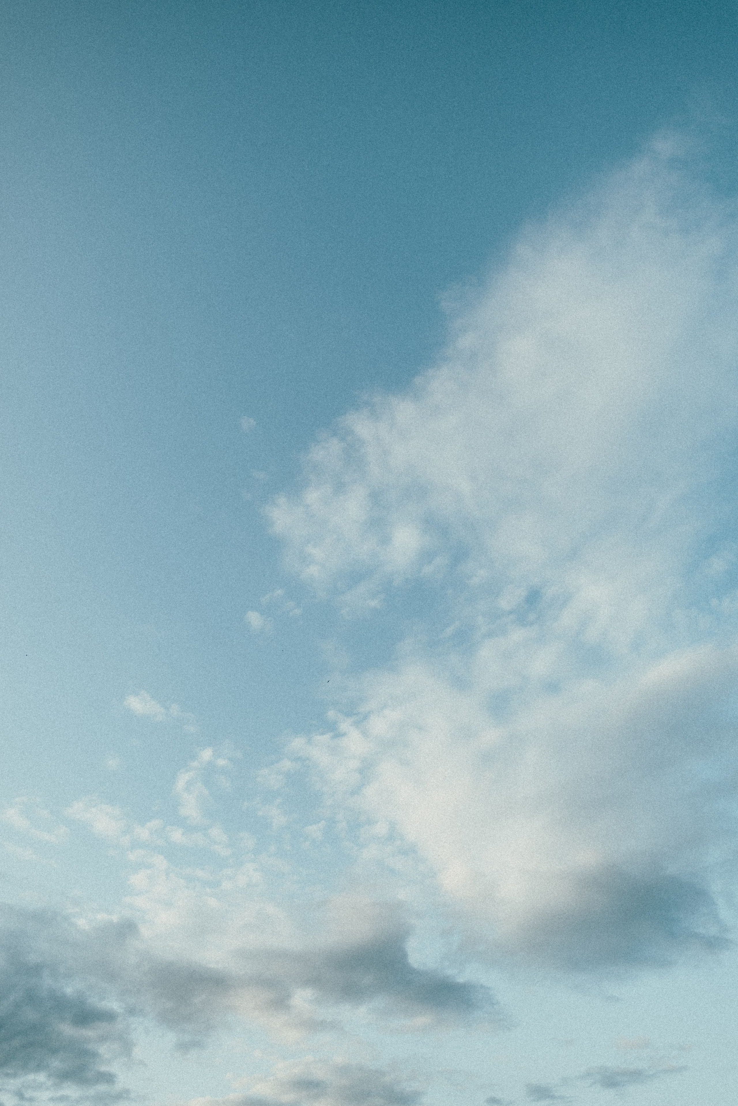 Руслан и Вероника |Полный свадебный день. Фотограф Санкт-Петербург, Новороссийск