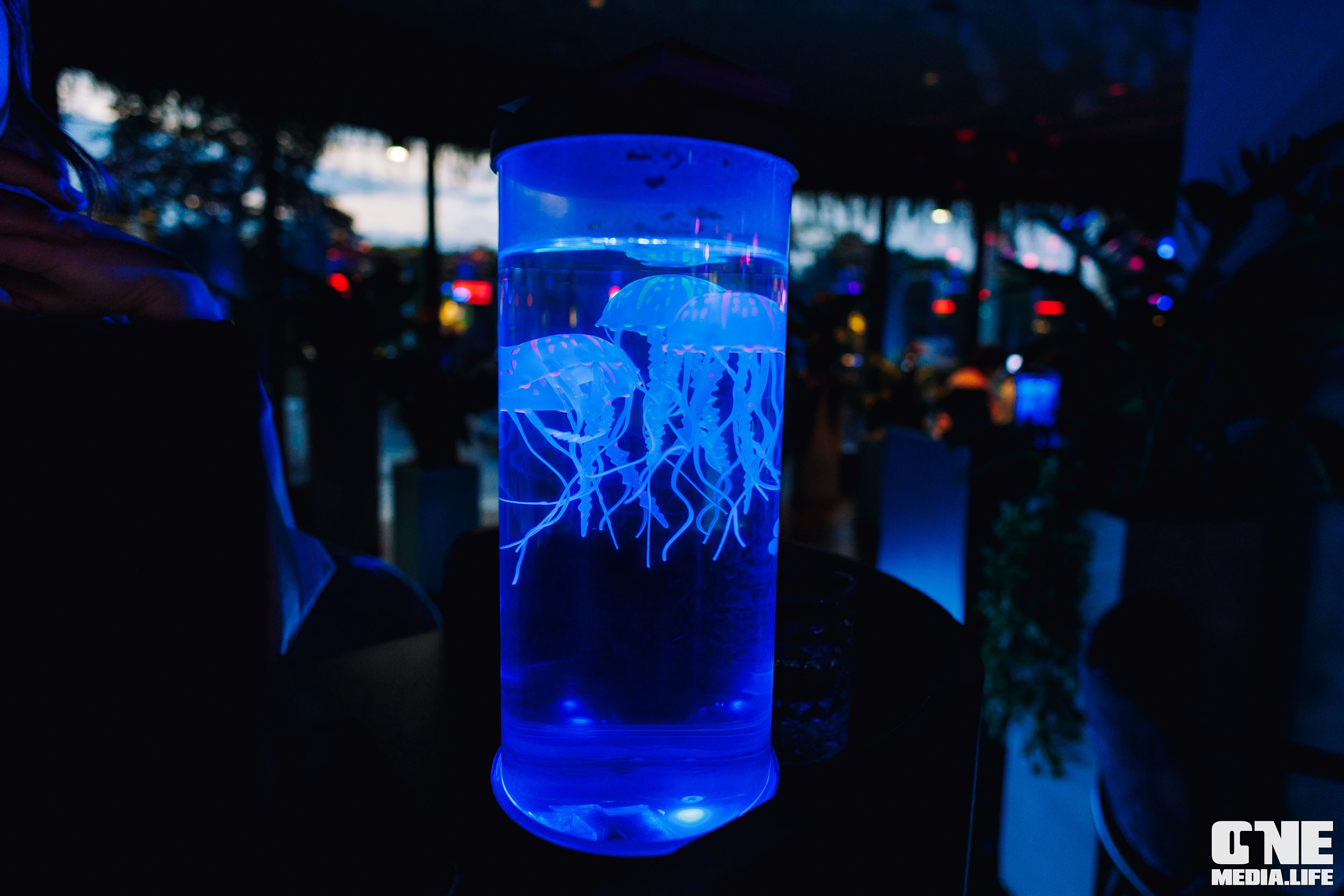 Фоторепортаж из ресторана Океан. One Media Life: фоторепортажи, фотоотчеты с мероприятий и заведений