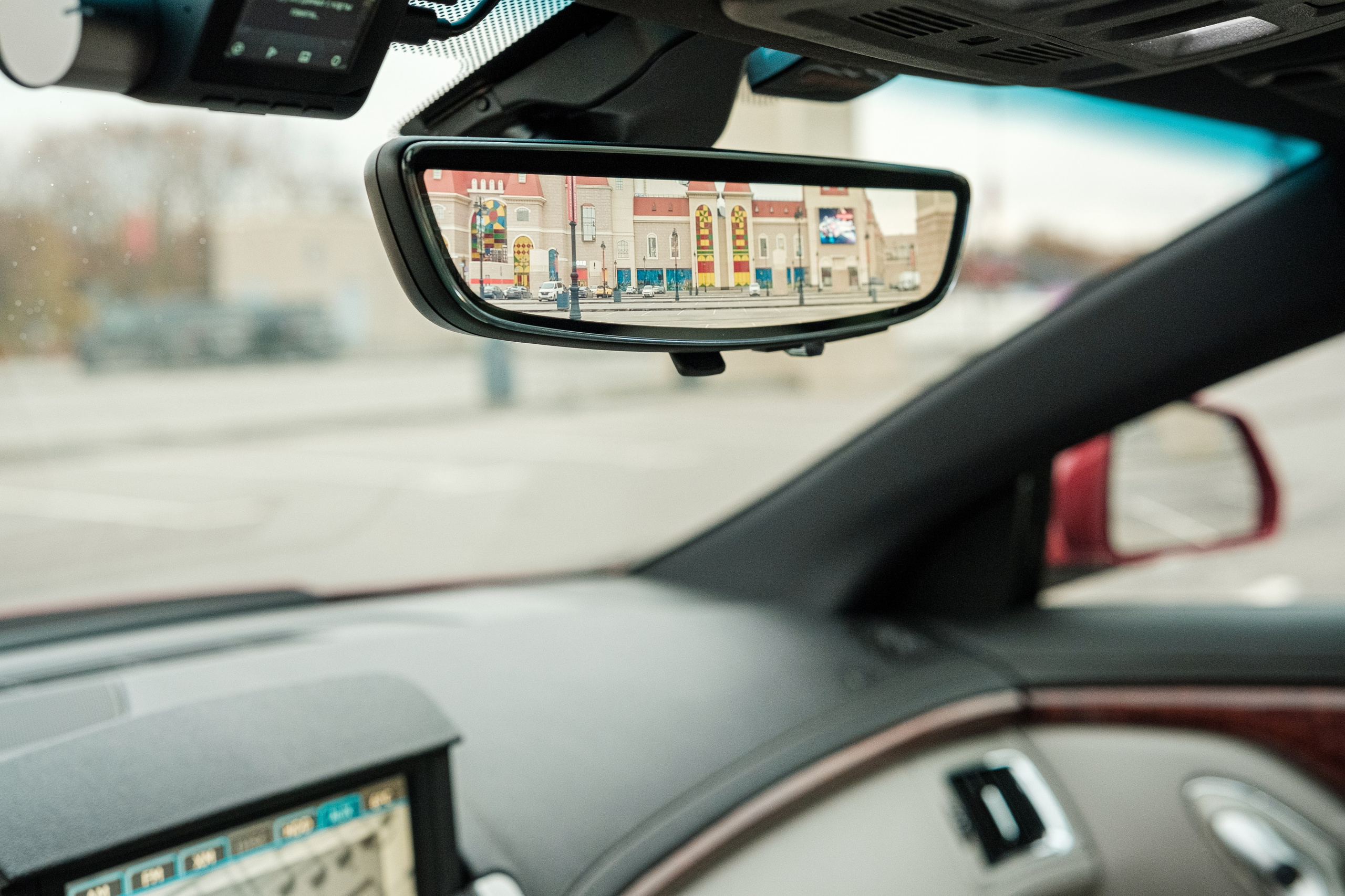 Кэдди. Алексей Никифоров фотограф Москва, Химки