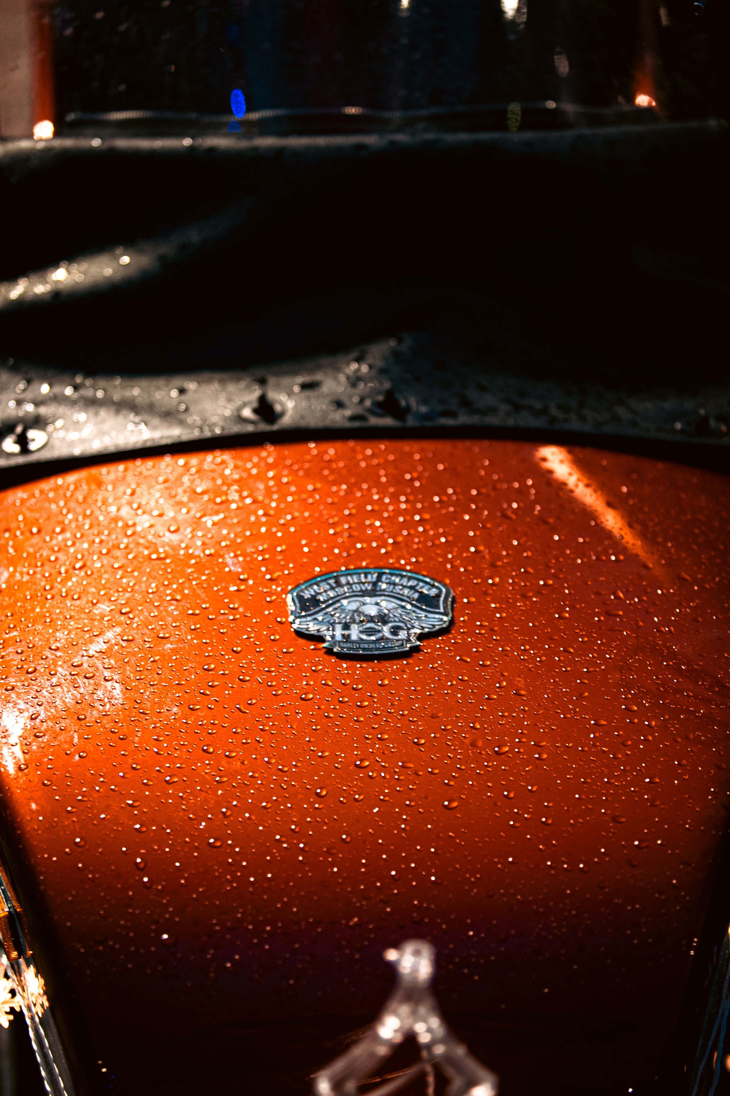 Репортаж, Корпоративы. Dobromilova.com