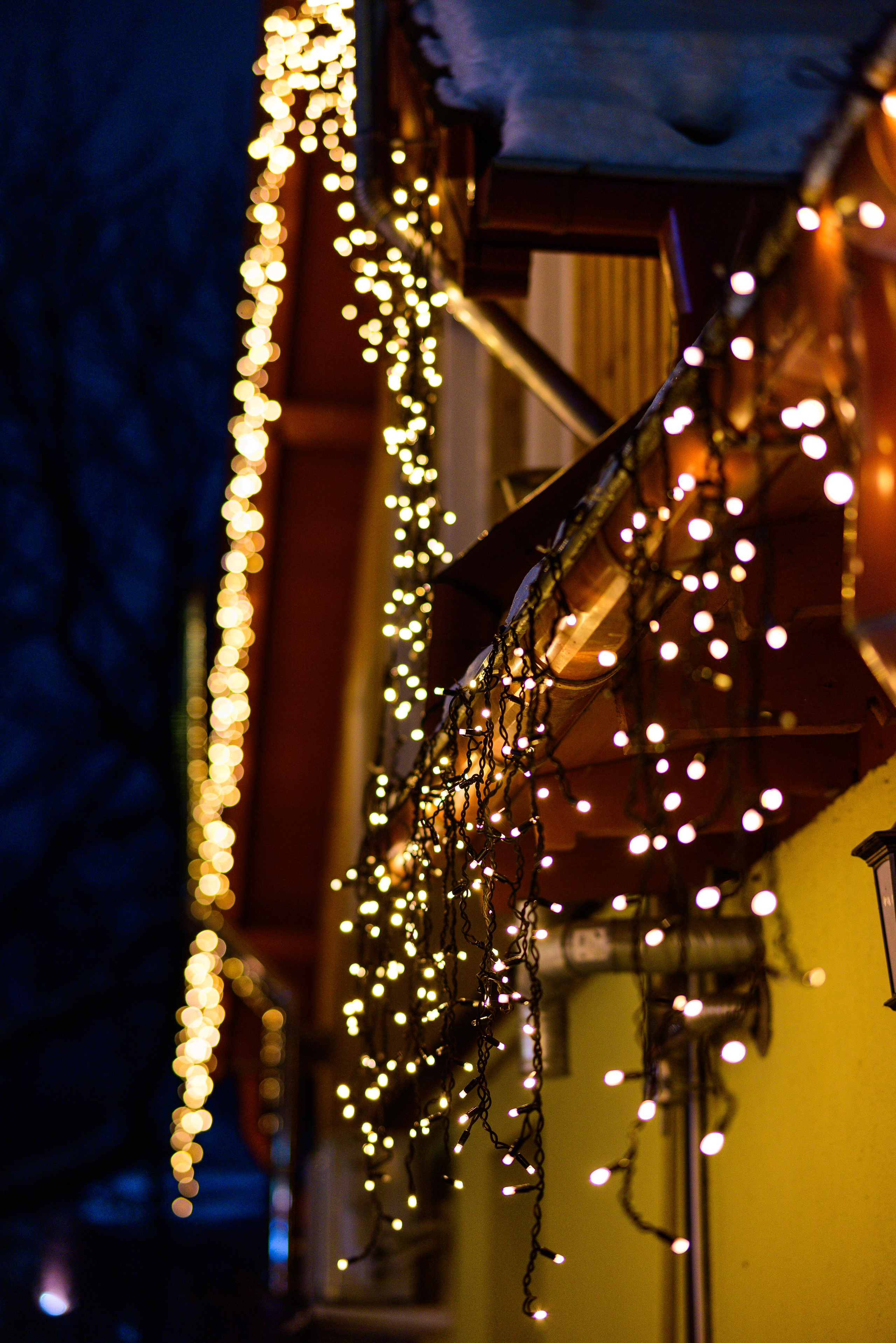 Зимняя Калининградская область. Фотосъемка и видеосъемка в Калининграде Liveemotion.pro