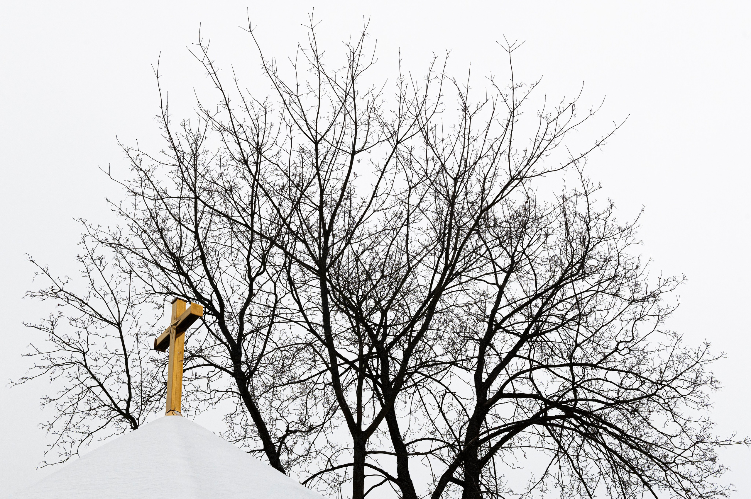 Reportage. Evgenii Filippov — Photographer