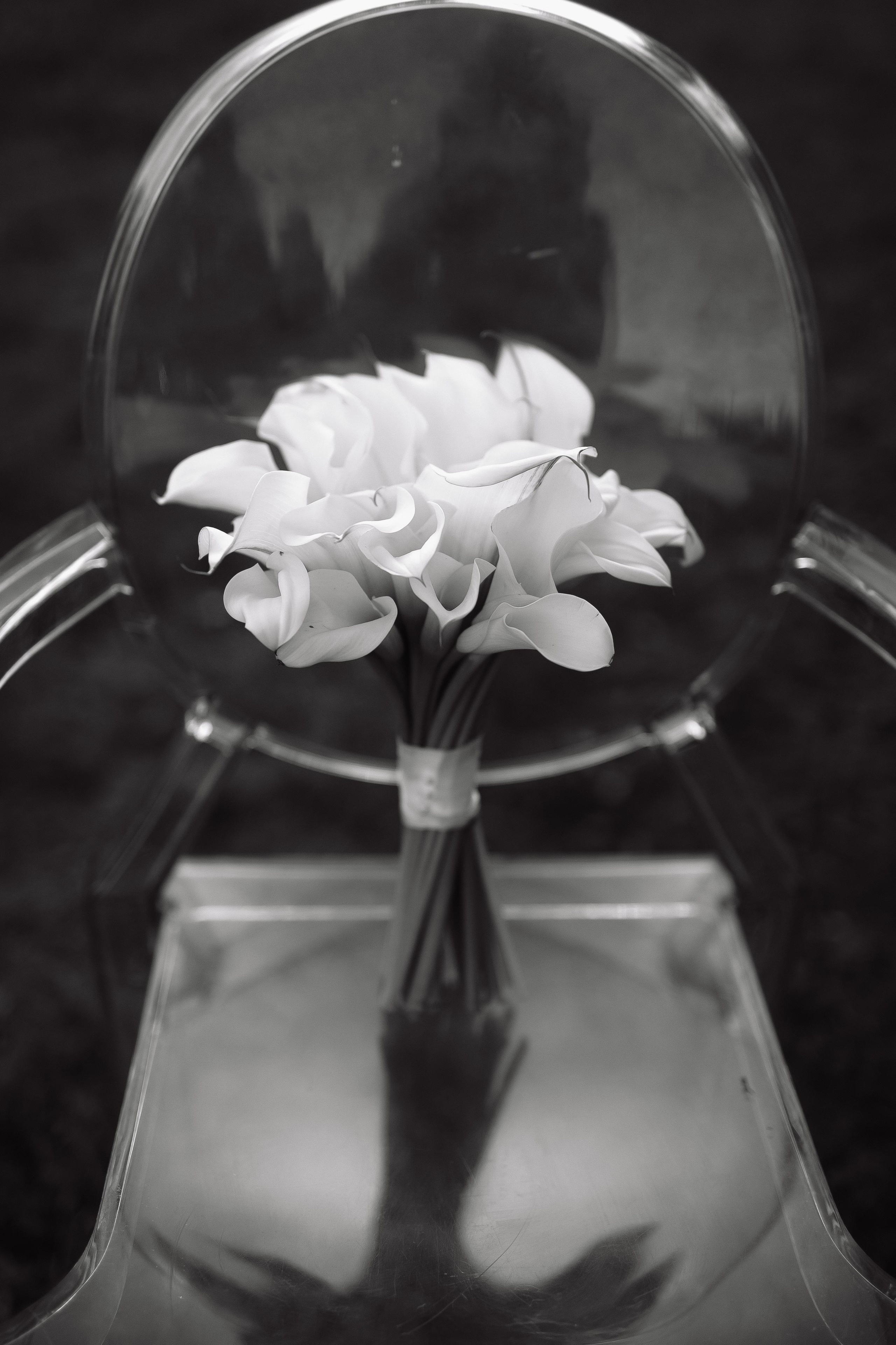 Свадьба Дмитрия и Ксении. Фотограф Кольчугино/Владимир/Москва Елизавета Иода