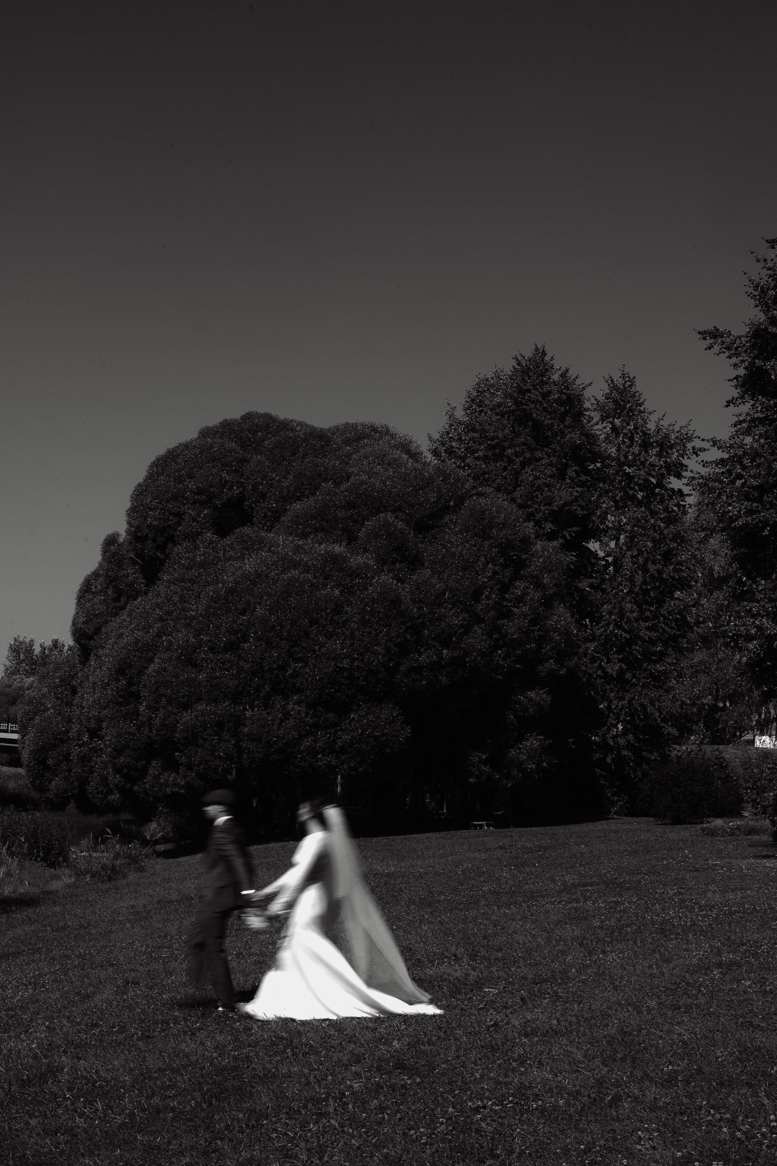 Свадьба Петра и Анны. Фотограф Кольчугино/Владимир/Москва Елизавета Иода